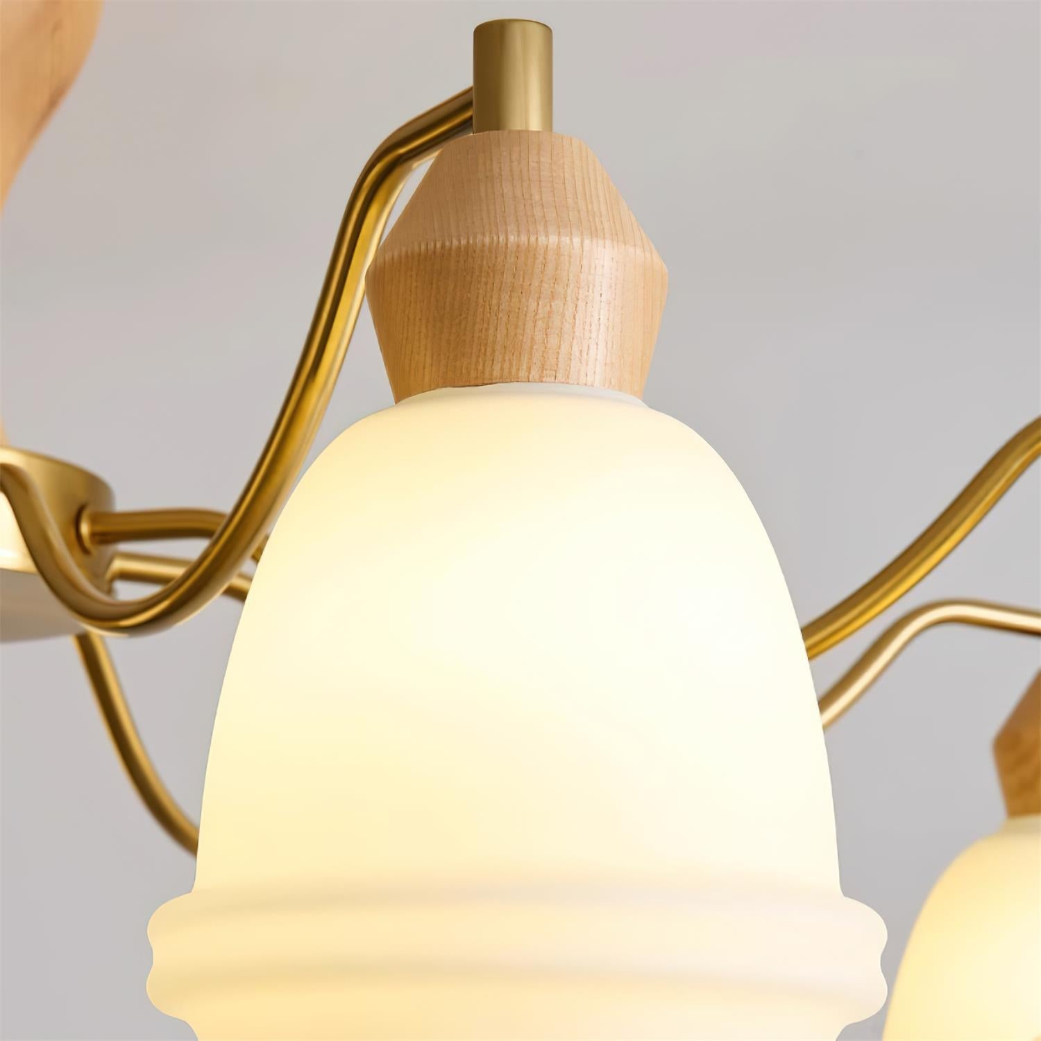 Magiro Lustre Verre Dépoli Bras en Bois
