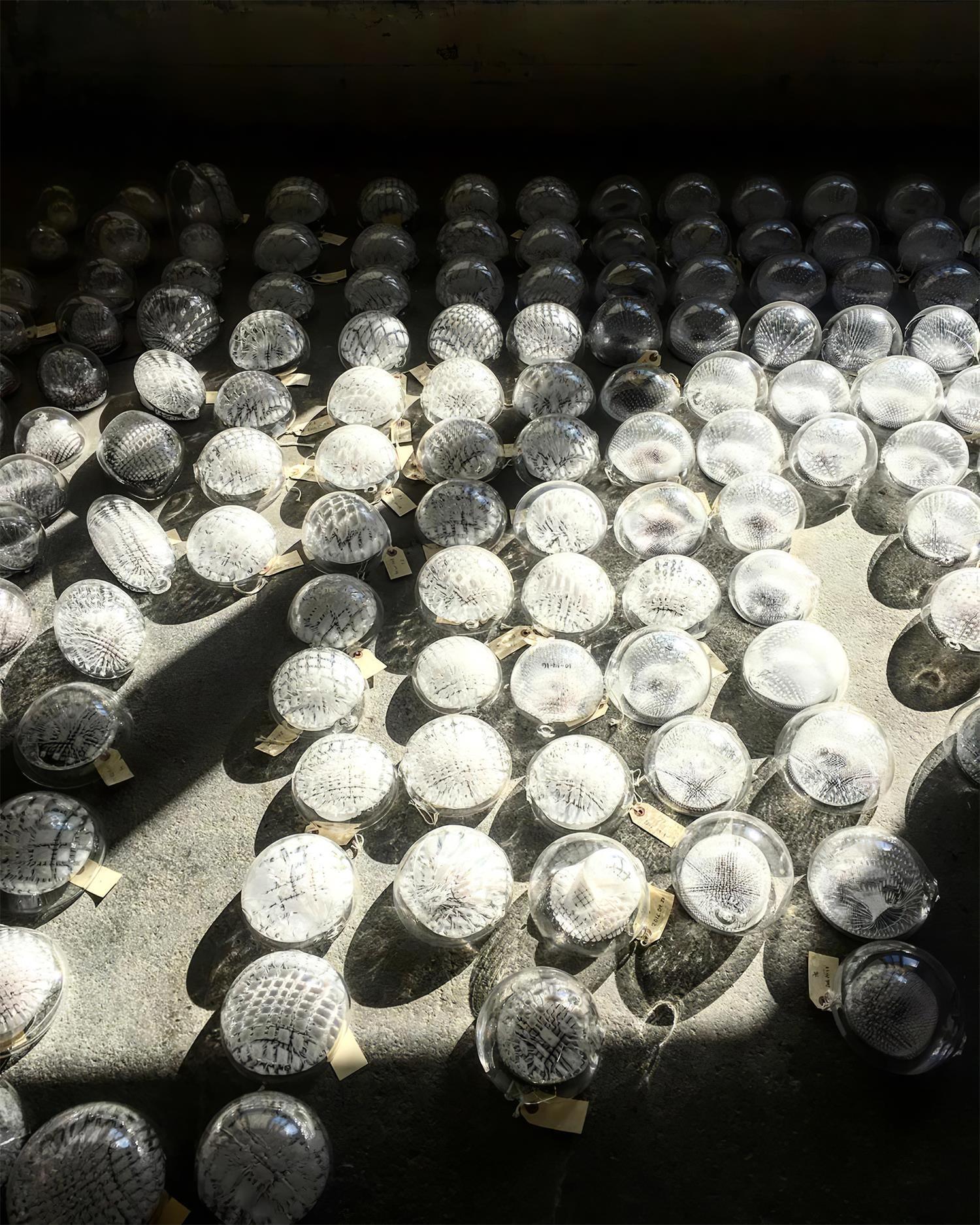 Sfera Lustre Moderne Minimaliste en Verre