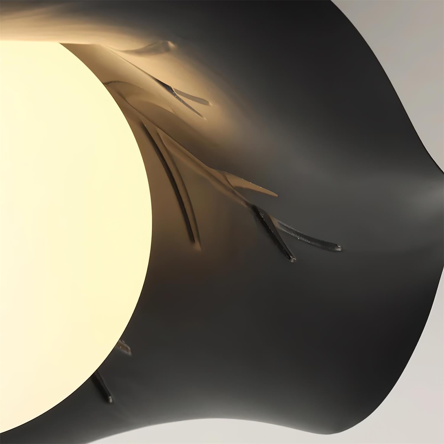 Monae Lumière de Plafond Pétale Globe Noir