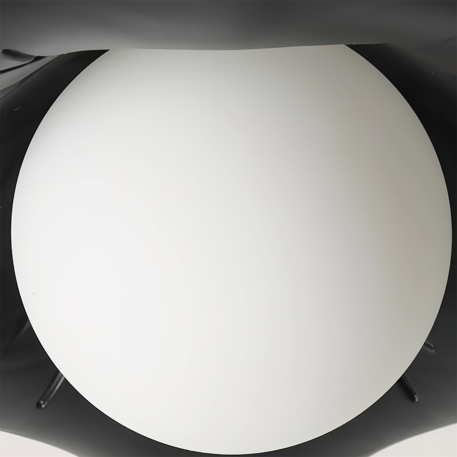 Monae Plafonnier Pétale Forme Globe Moderne
