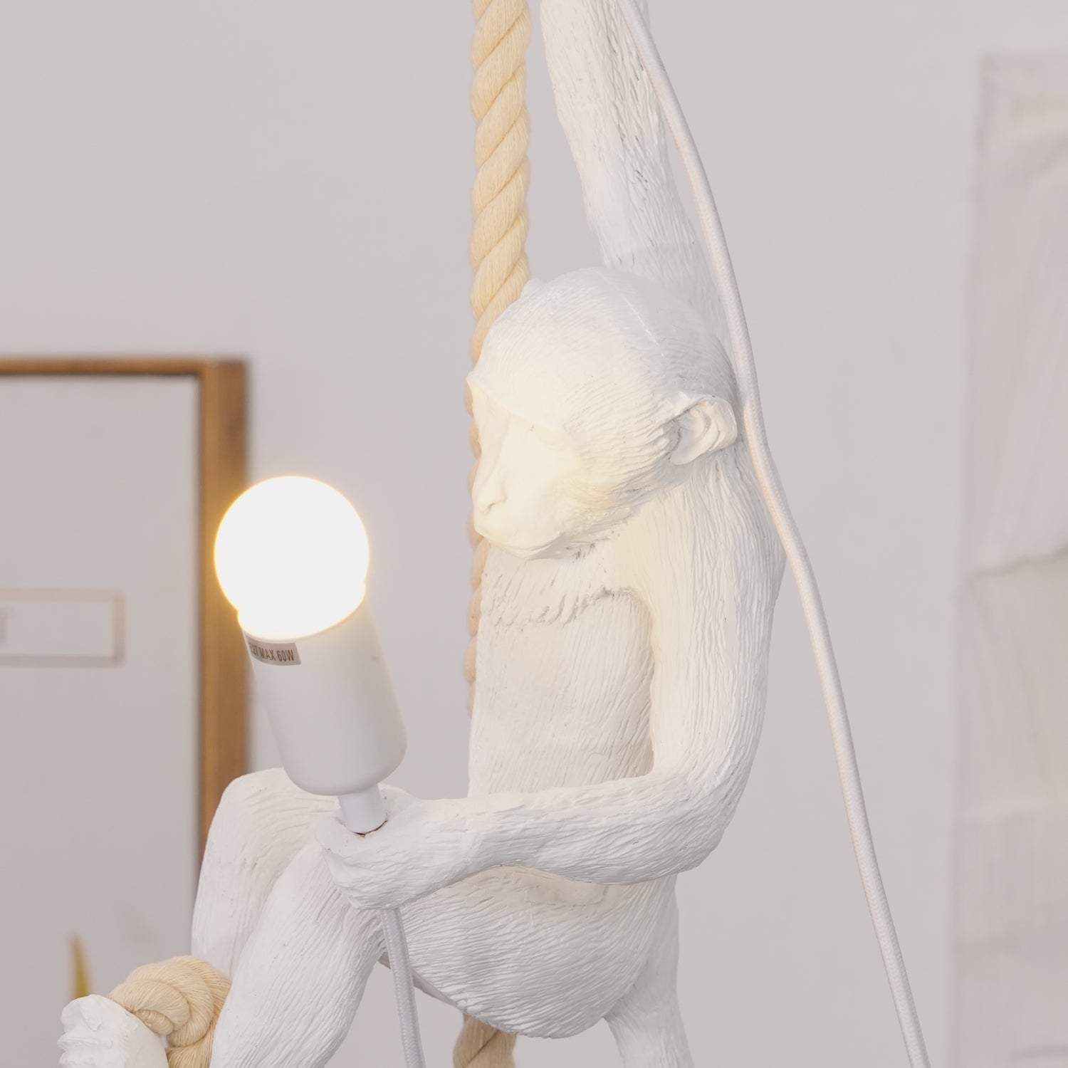 Zalira Suspension Artistique en Résine Corde