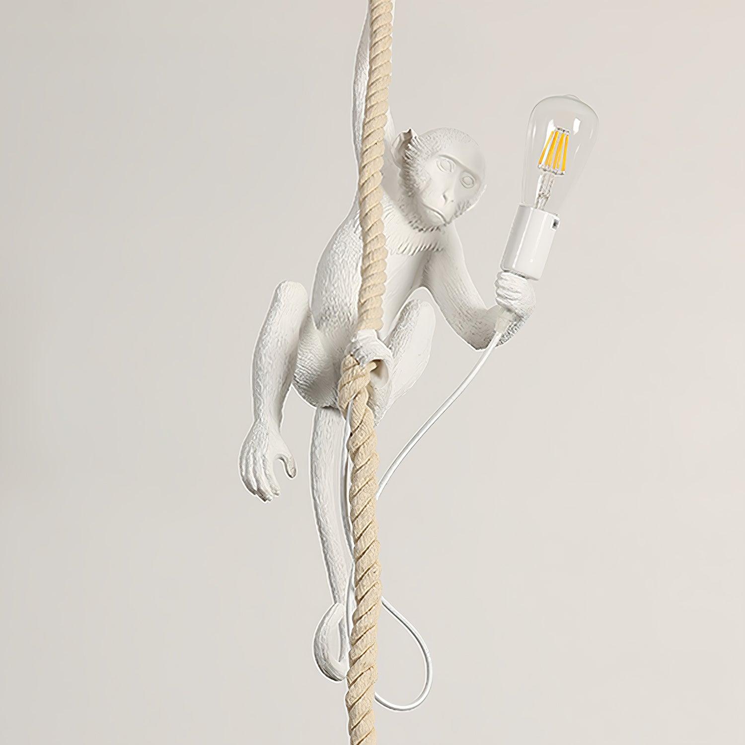 Zalira Suspension Artistique en Résine Corde