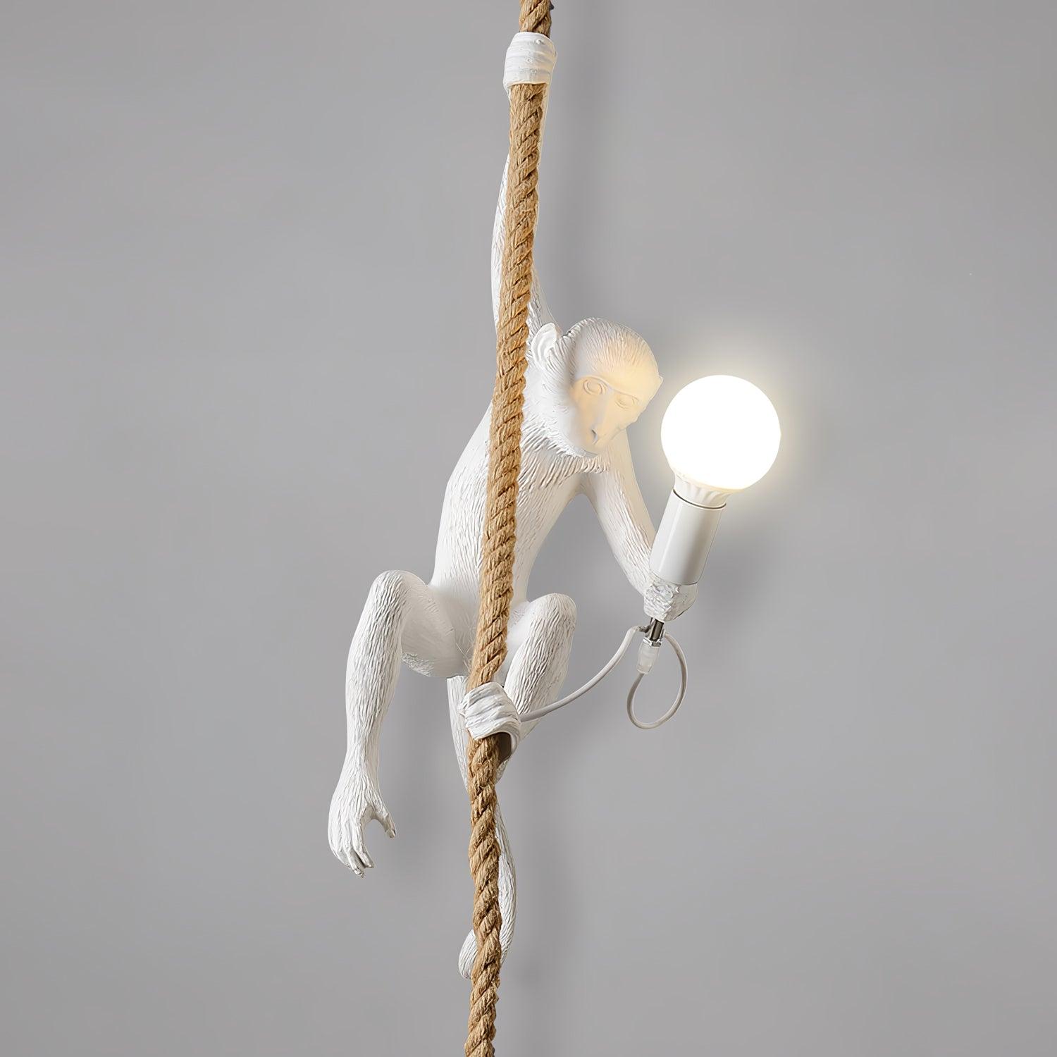 Zalira Suspension Artistique en Résine Corde