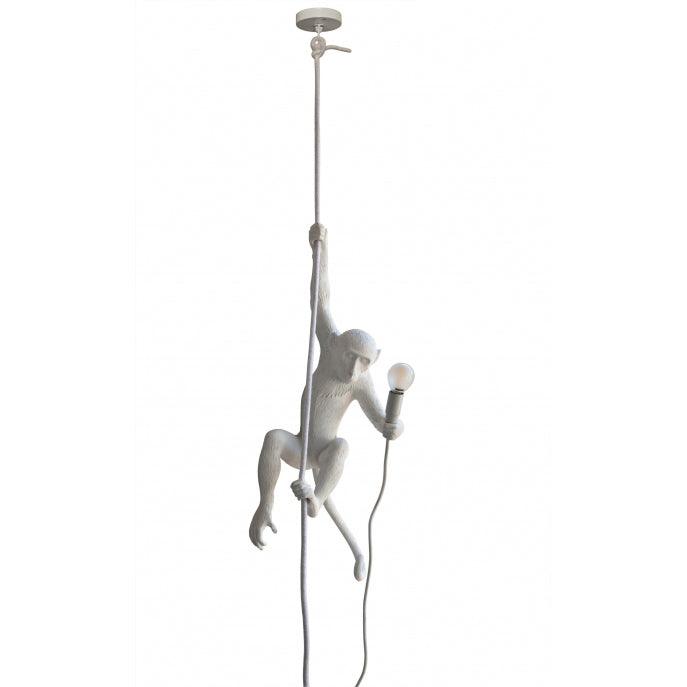Zalira Suspension Artistique en Résine Corde