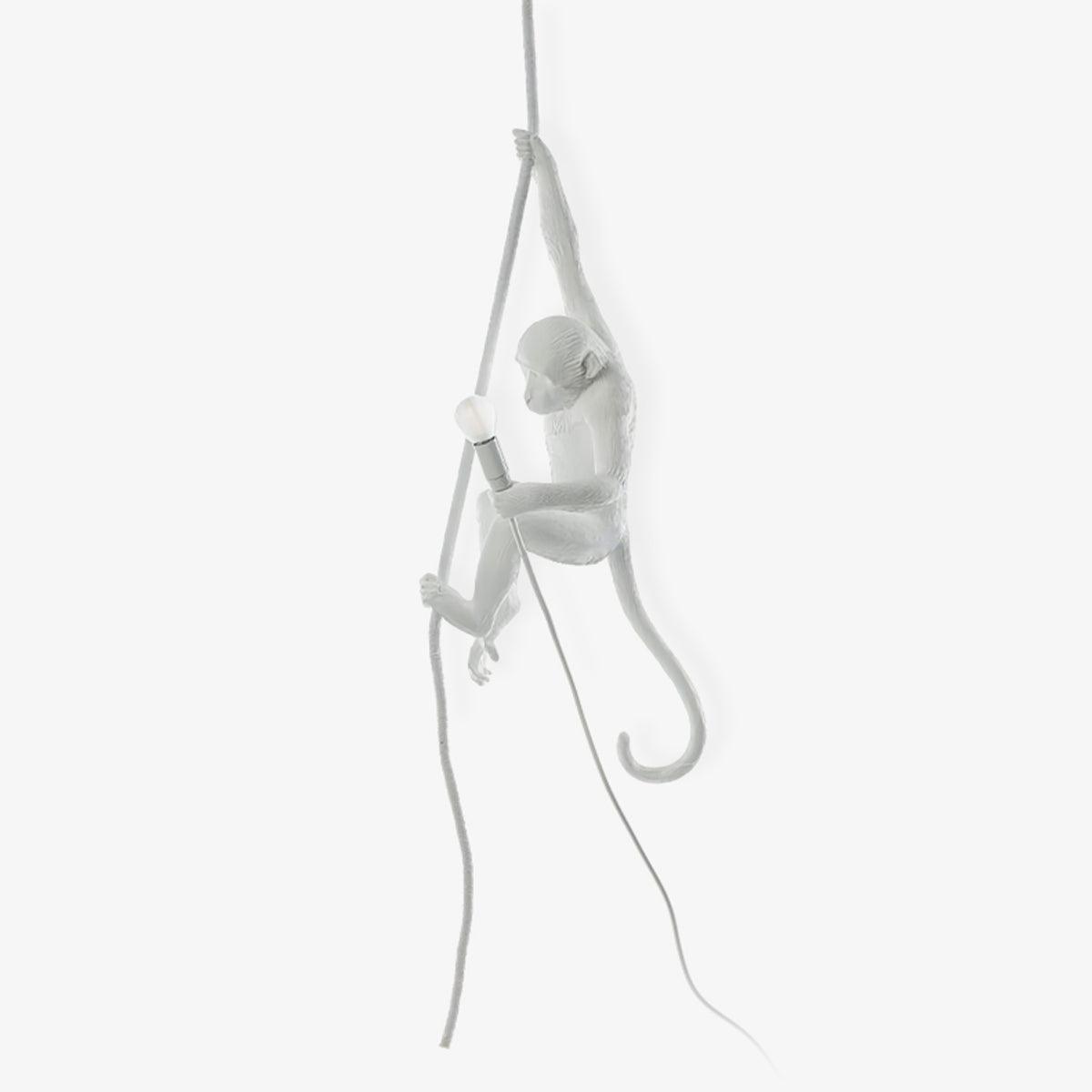 Zalira Suspension Artistique en Résine Corde