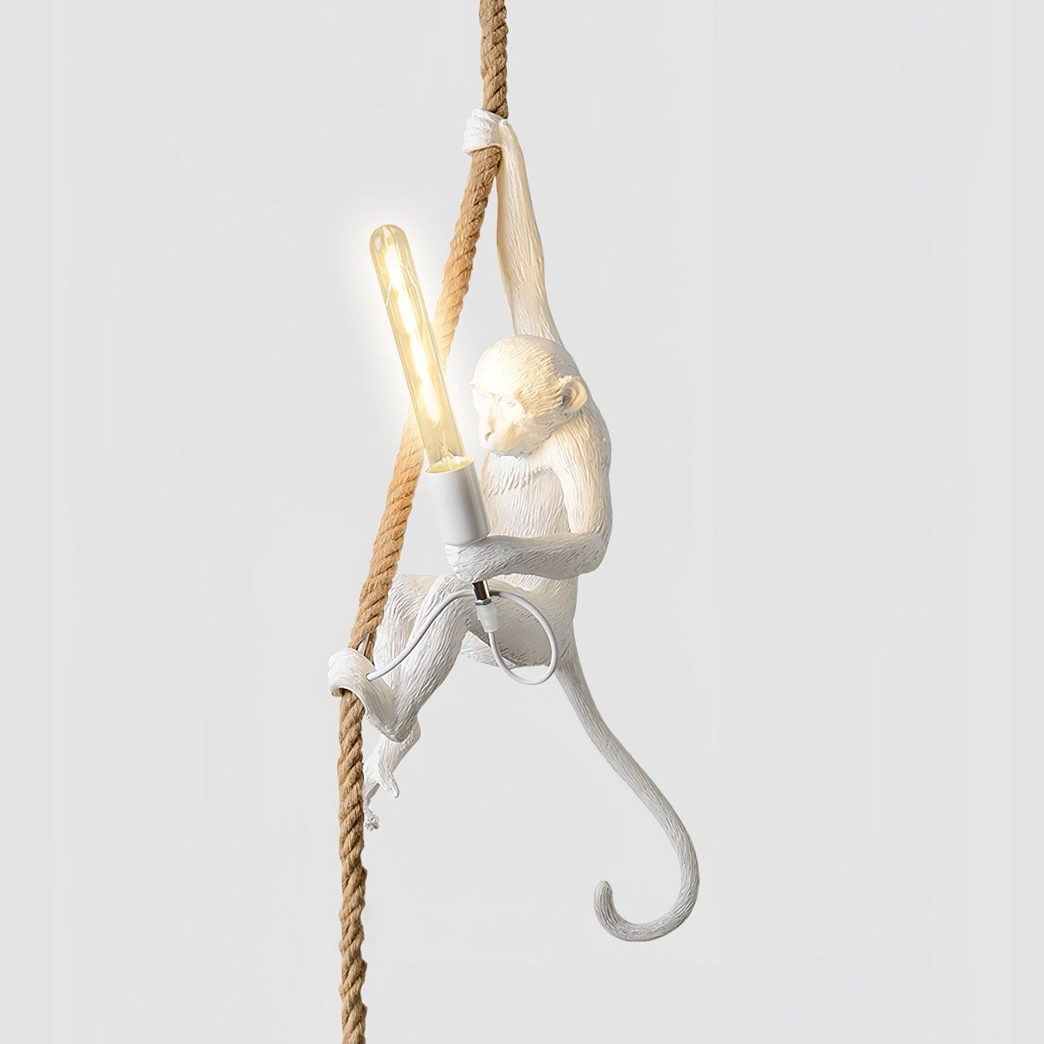 Zalira Suspension Artistique en Résine Corde