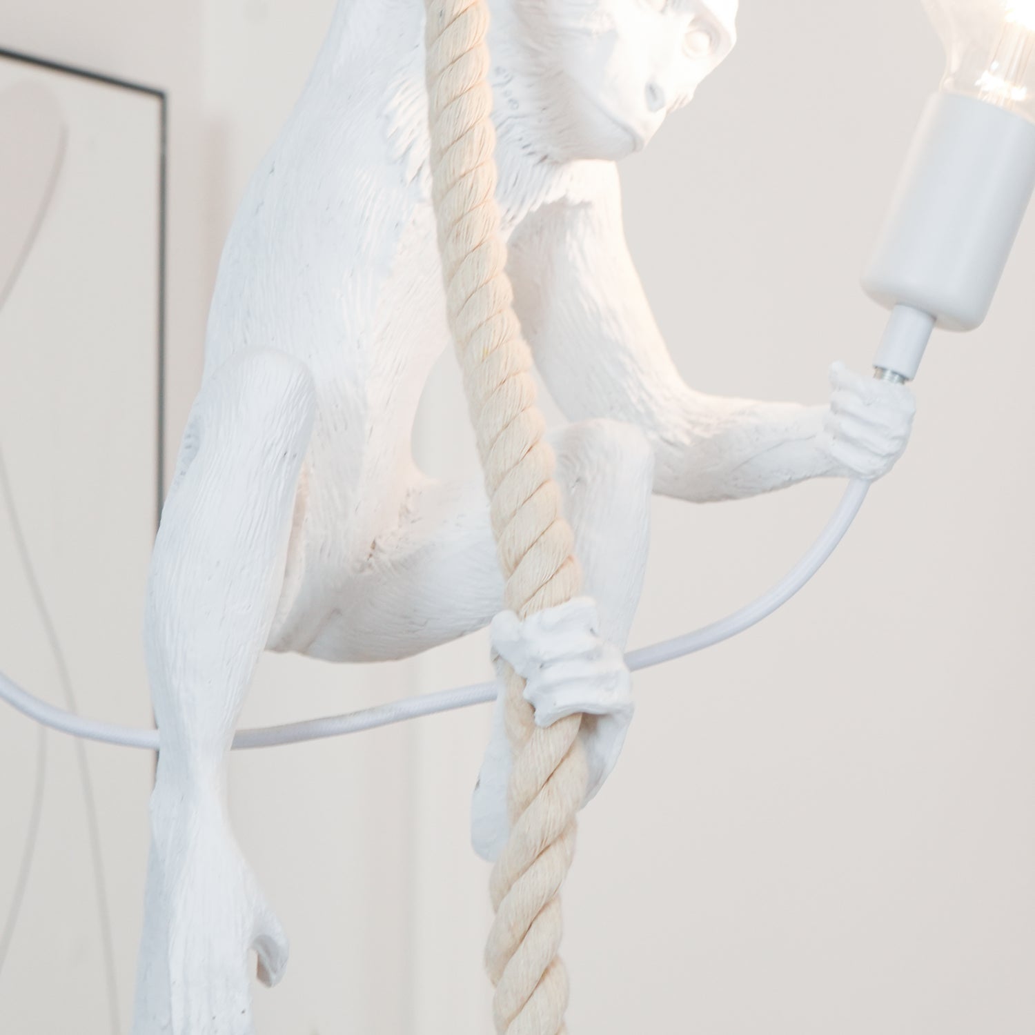 Zalira Suspension Artistique en Résine Corde