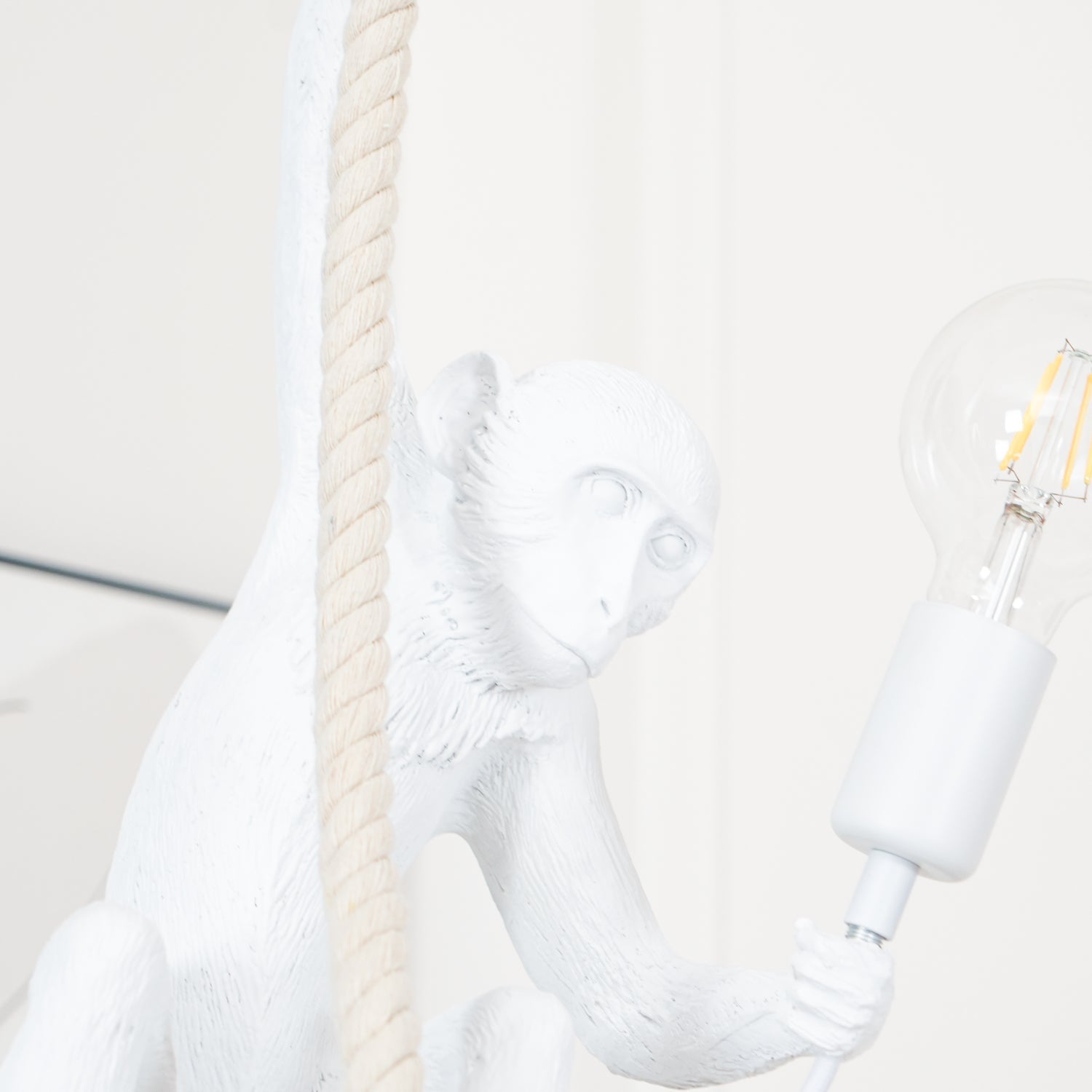 Zalira Suspension Artistique en Résine Corde
