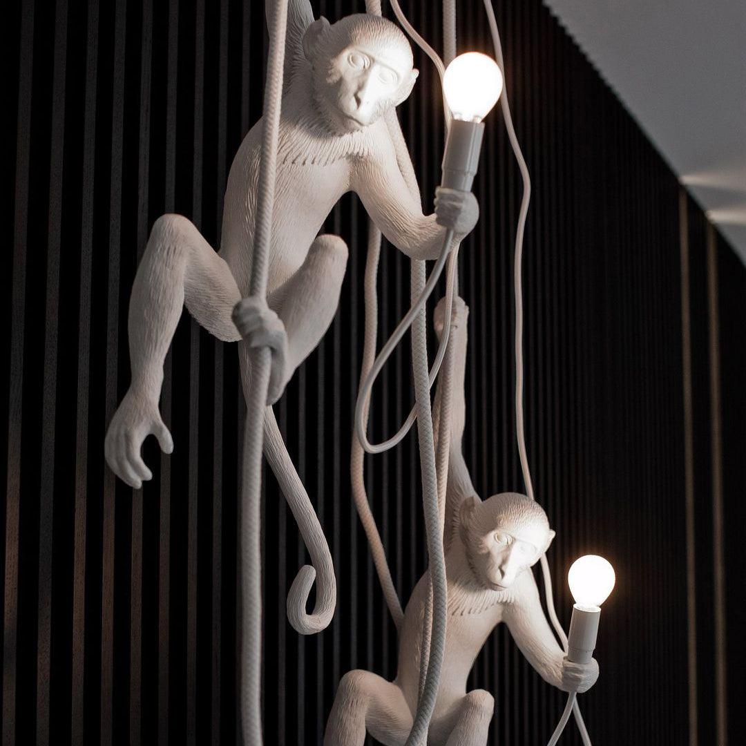 Zalira Suspension Artistique en Résine Corde