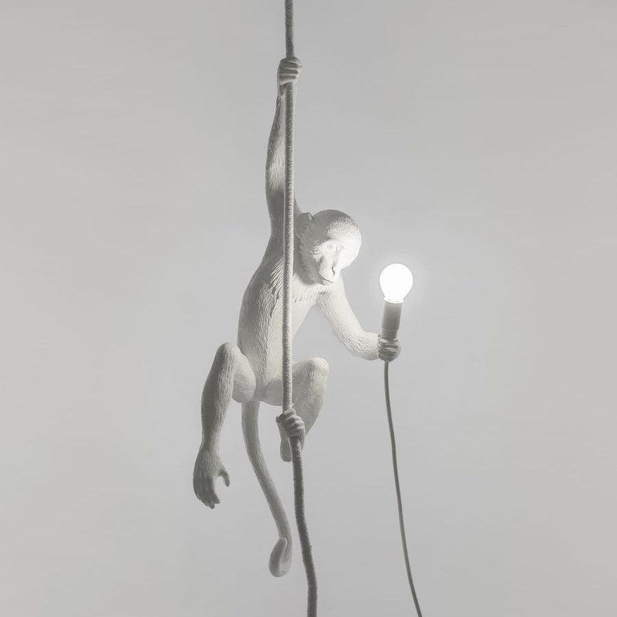 Zalira Suspension Artistique en Résine Corde