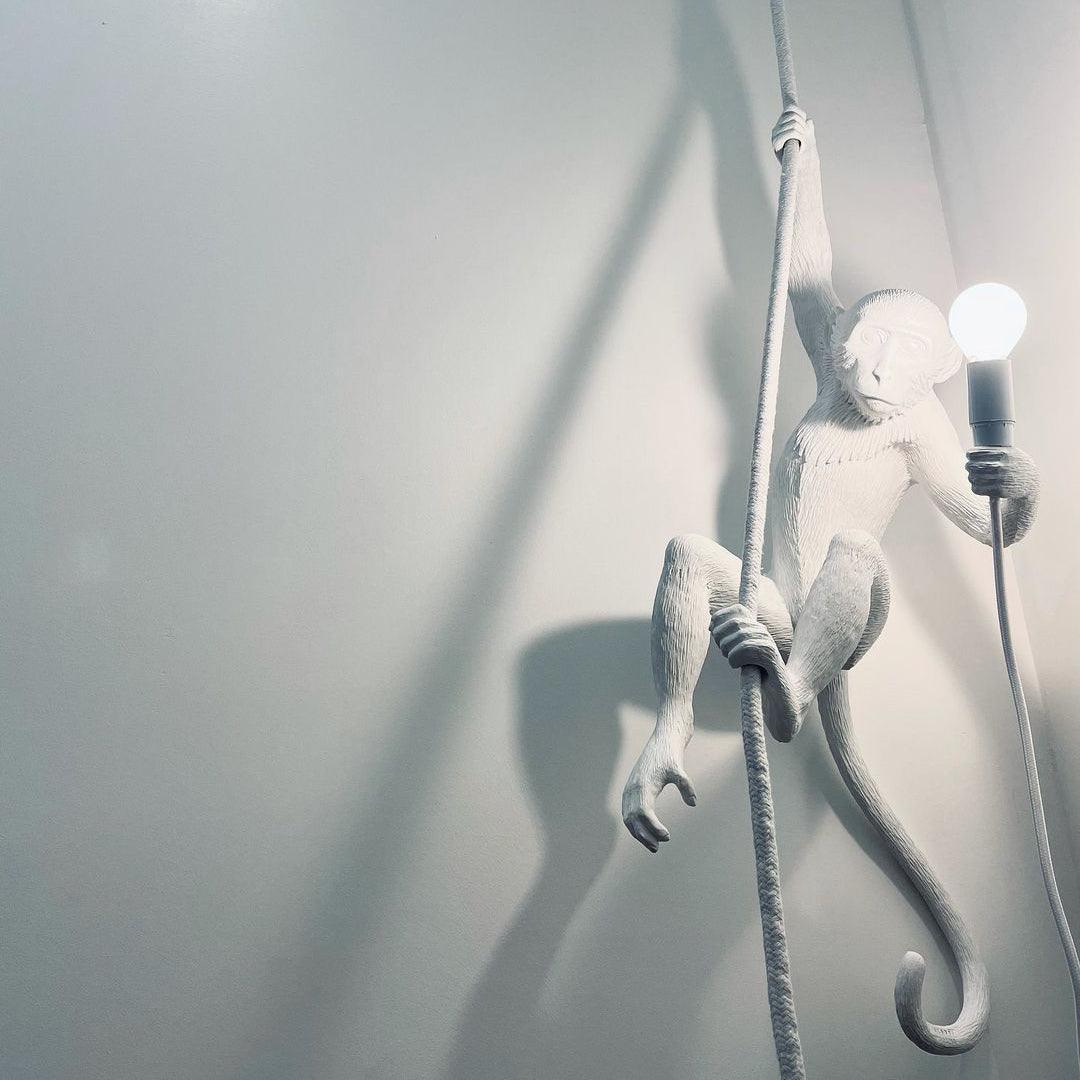 Zalira Suspension Artistique en Résine Corde