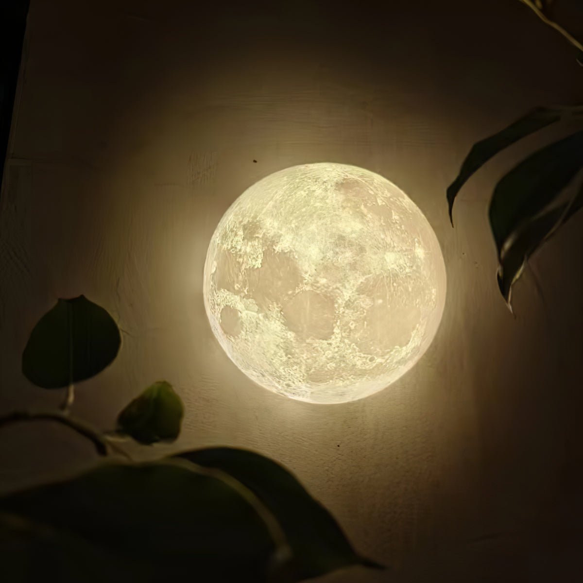 Olsolan Applique Murale 3D en Plastique Art Nordique Lune