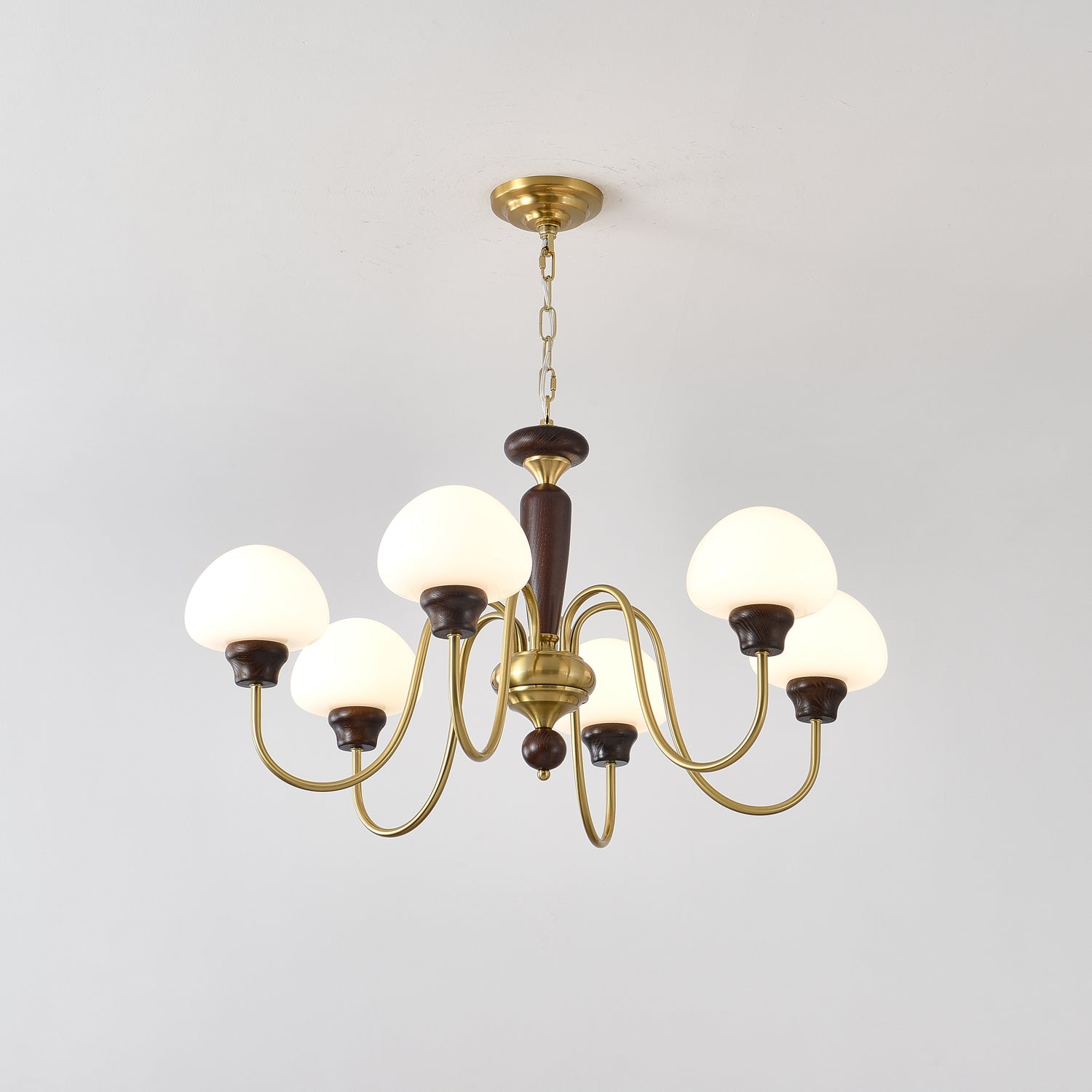 Lustra Lustre Laiton Bois Champignon Classique