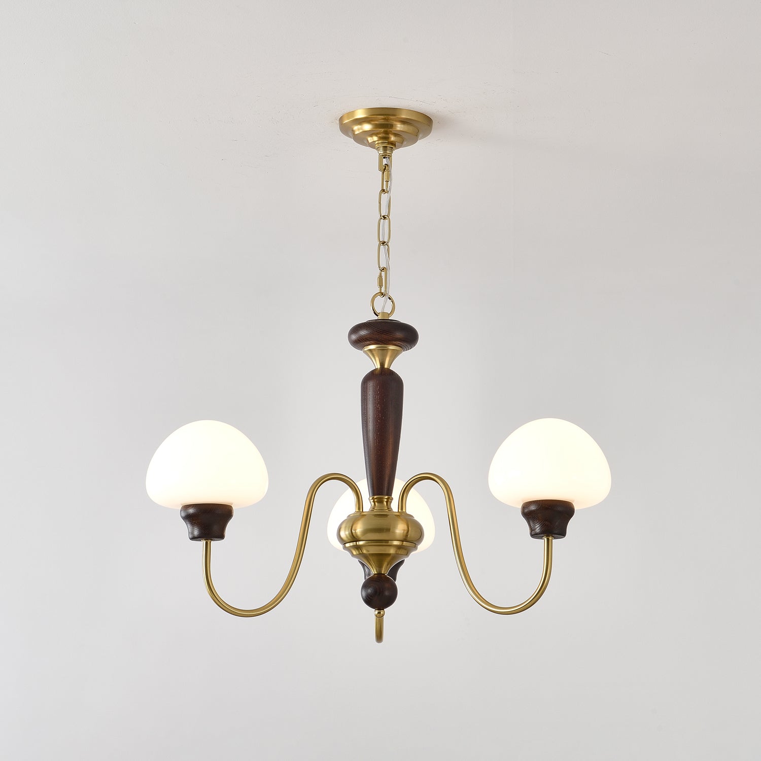 Lustra Lustre Laiton Bois Champignon Classique