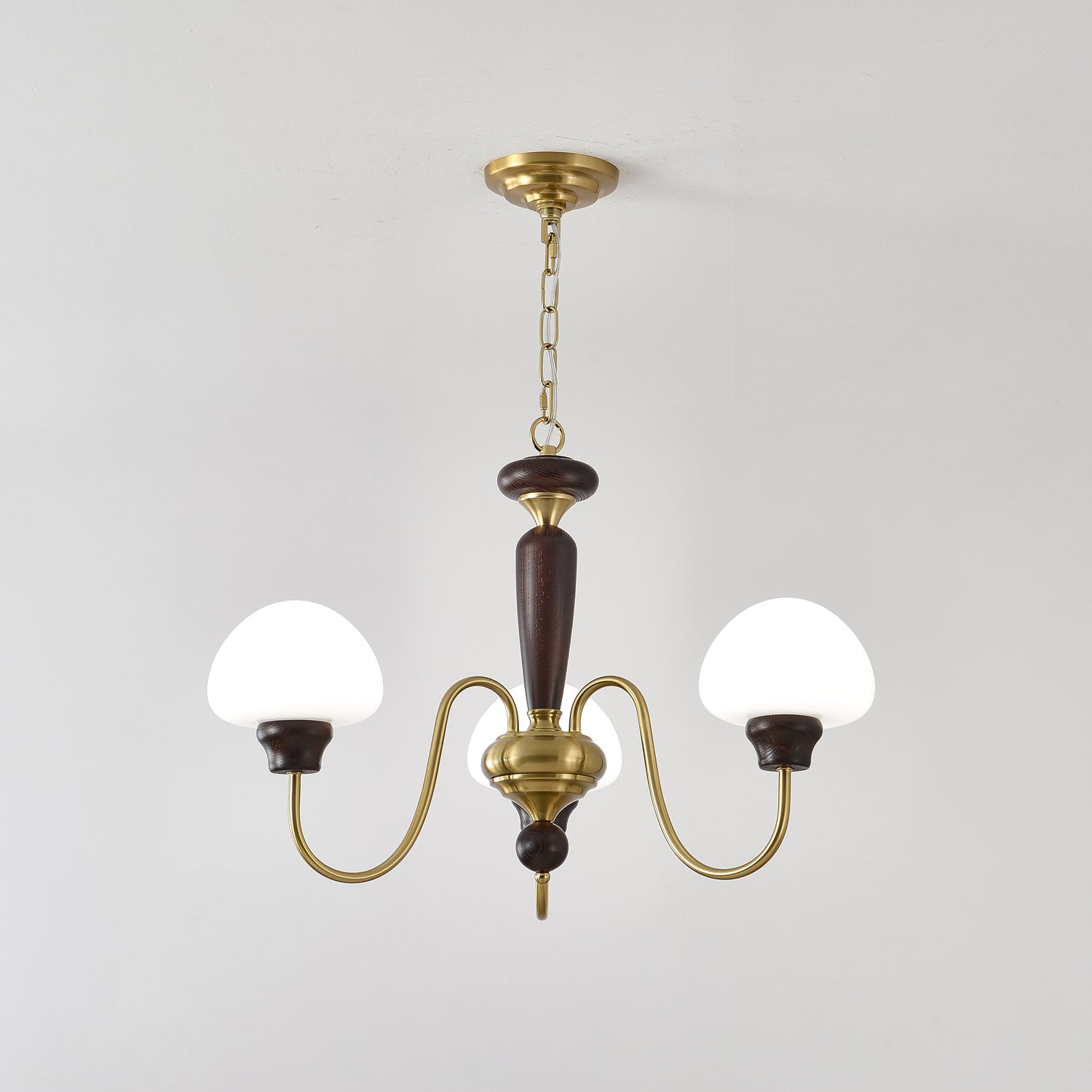 Lustra Lustre Laiton Bois Champignon Classique