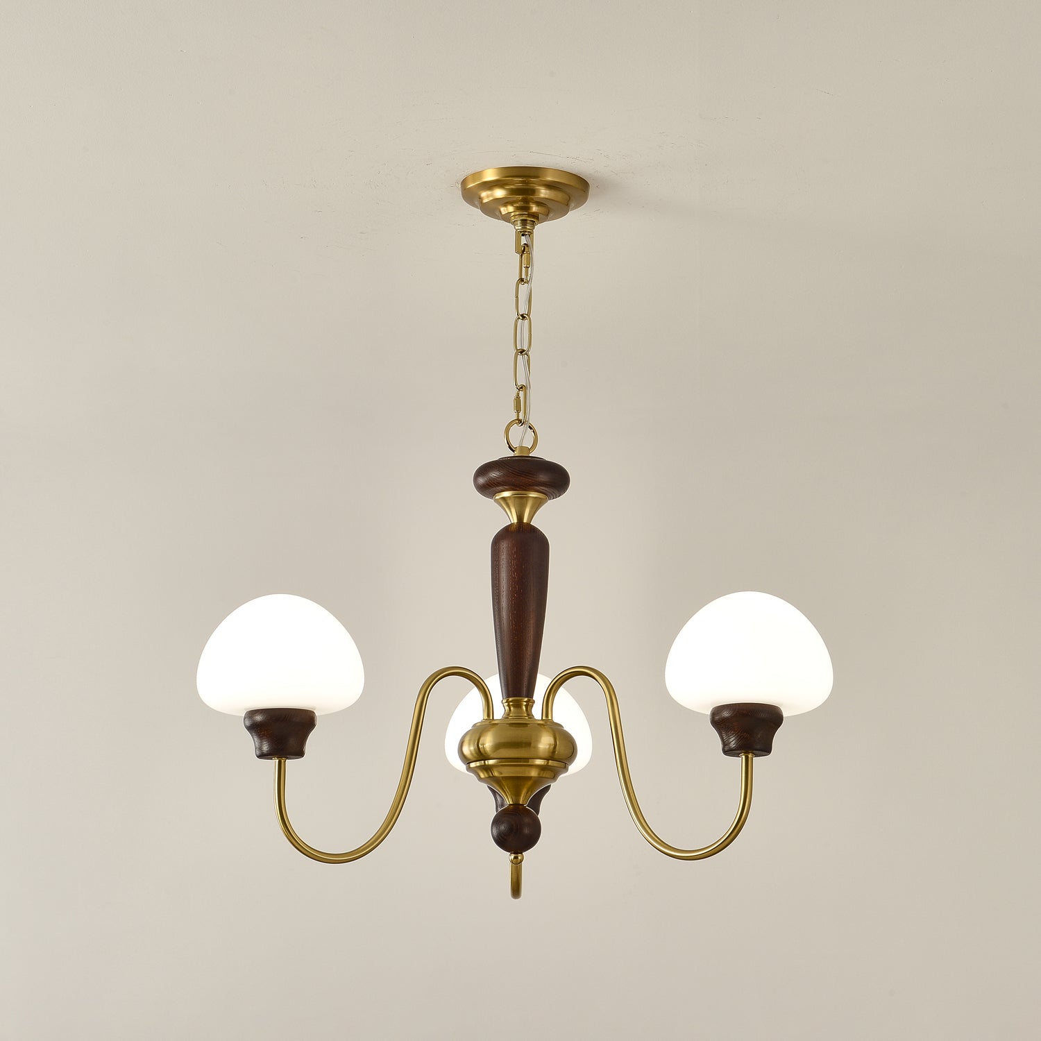 Lustra Lustre Laiton Bois Champignon Classique