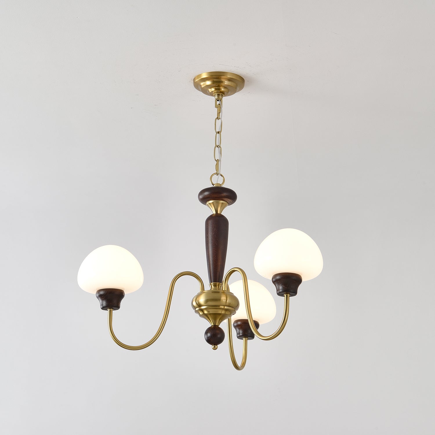 Lustra Lustre Laiton Bois Champignon Classique