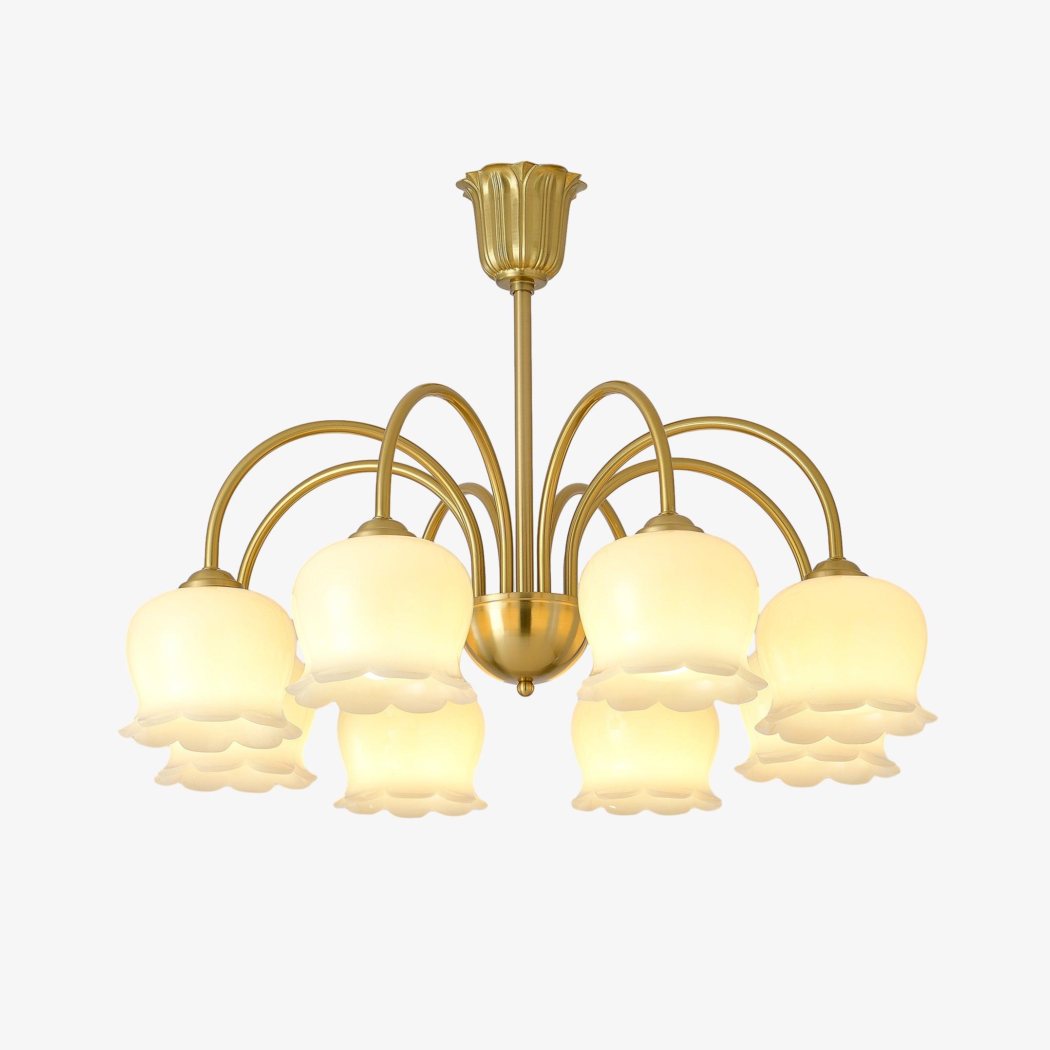 Lustra Lustre Laiton Bras Courbé Élégant