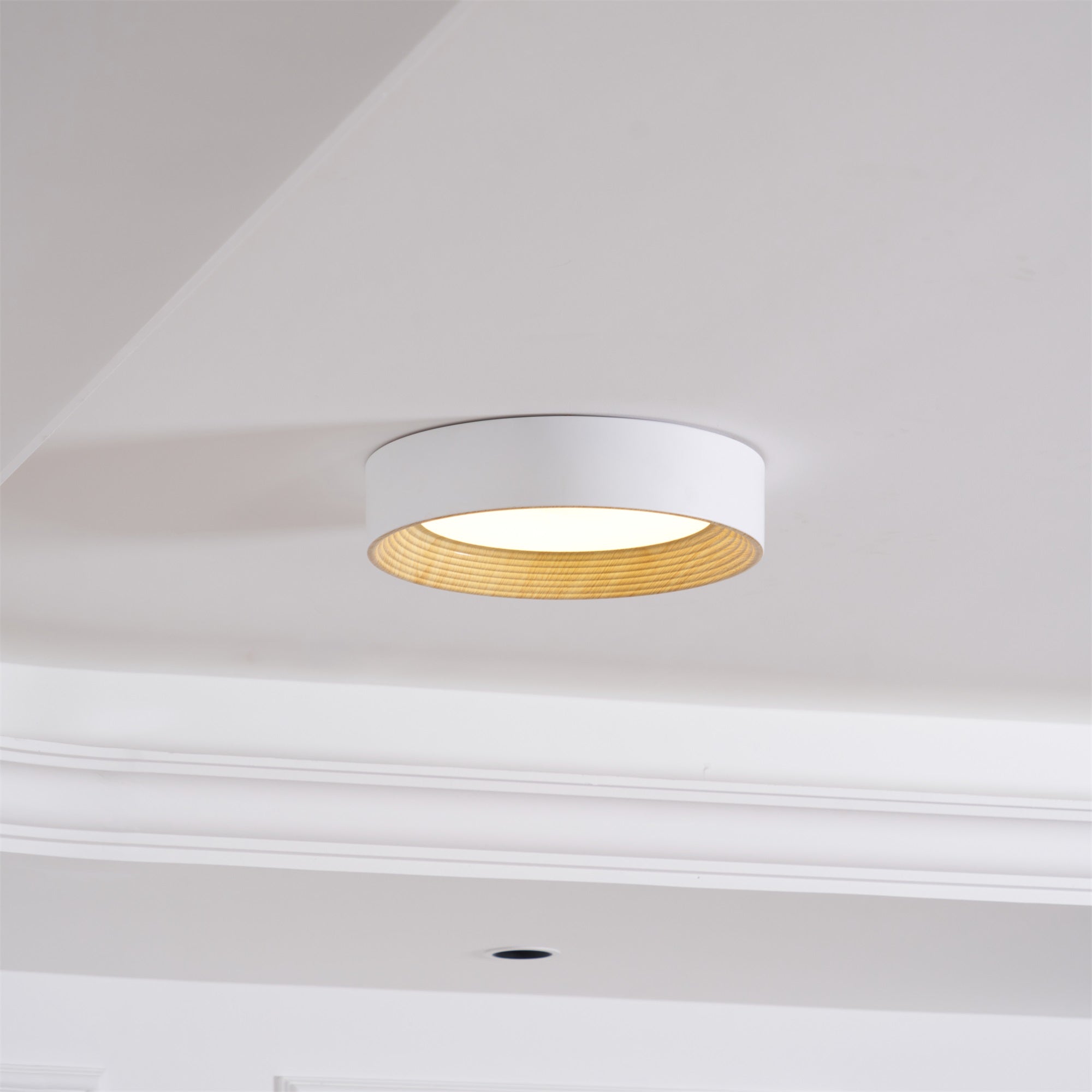 Solara Plafonnier Bois Anneau Minimaliste Réglable
