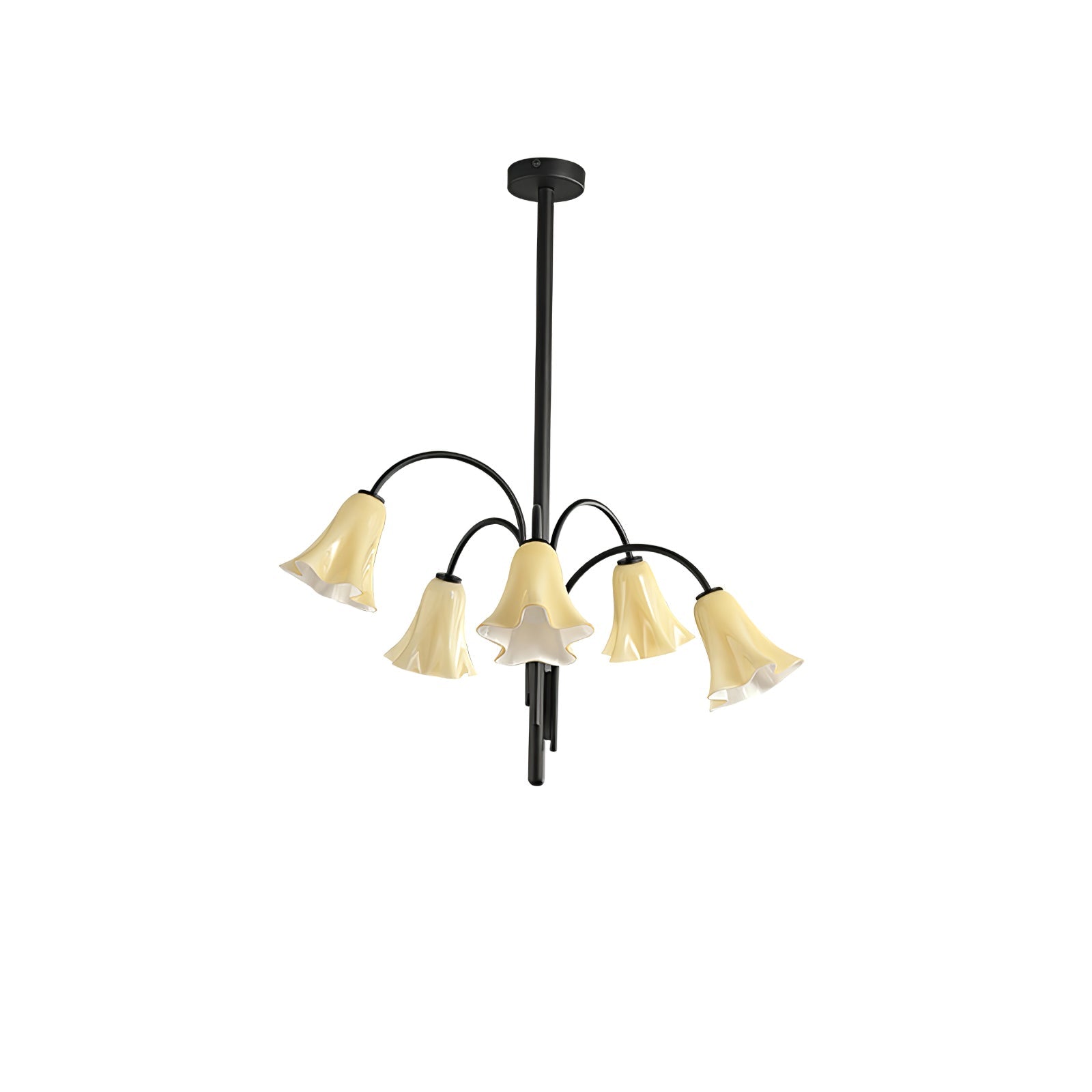 Aurora Lustre Floraison Pétale Verre Bras