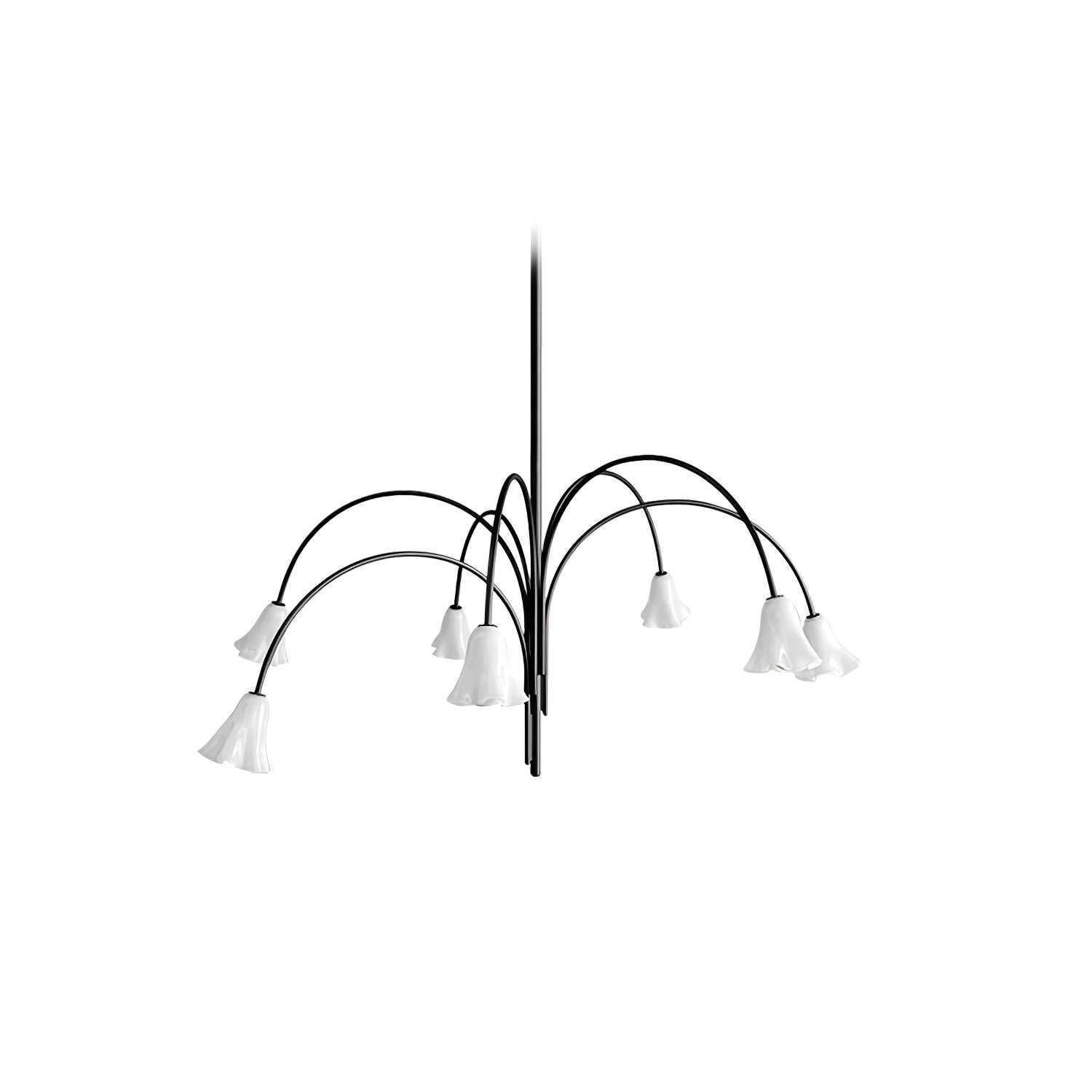 Aurora Lustre Floraison Pétale Verre Bras
