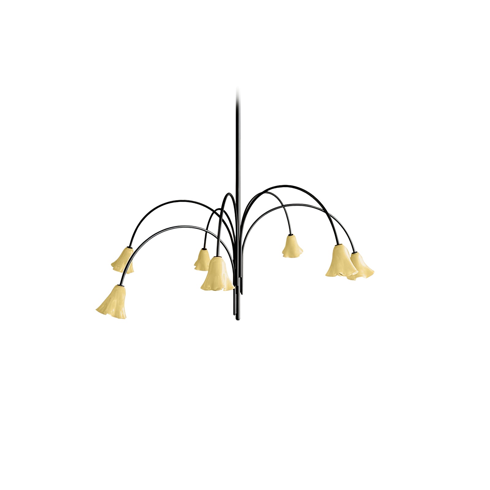 Aurora Lustre Floraison Pétale Verre Bras