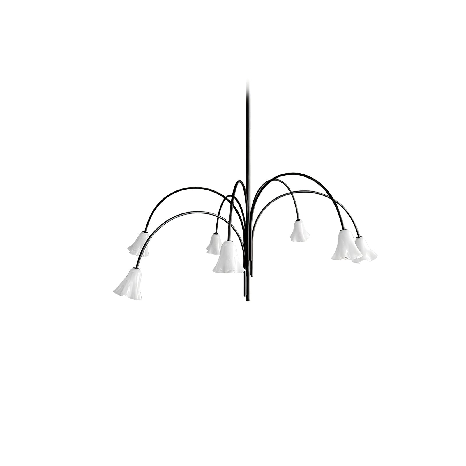 Aurora Lustre Floraison Pétale Verre Bras