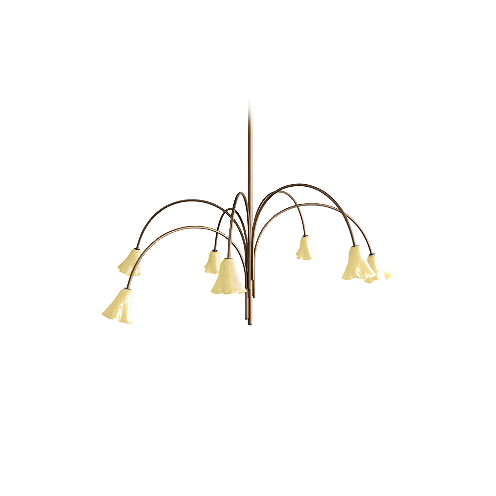 Aurora Lustre Floraison Pétale Verre Bras