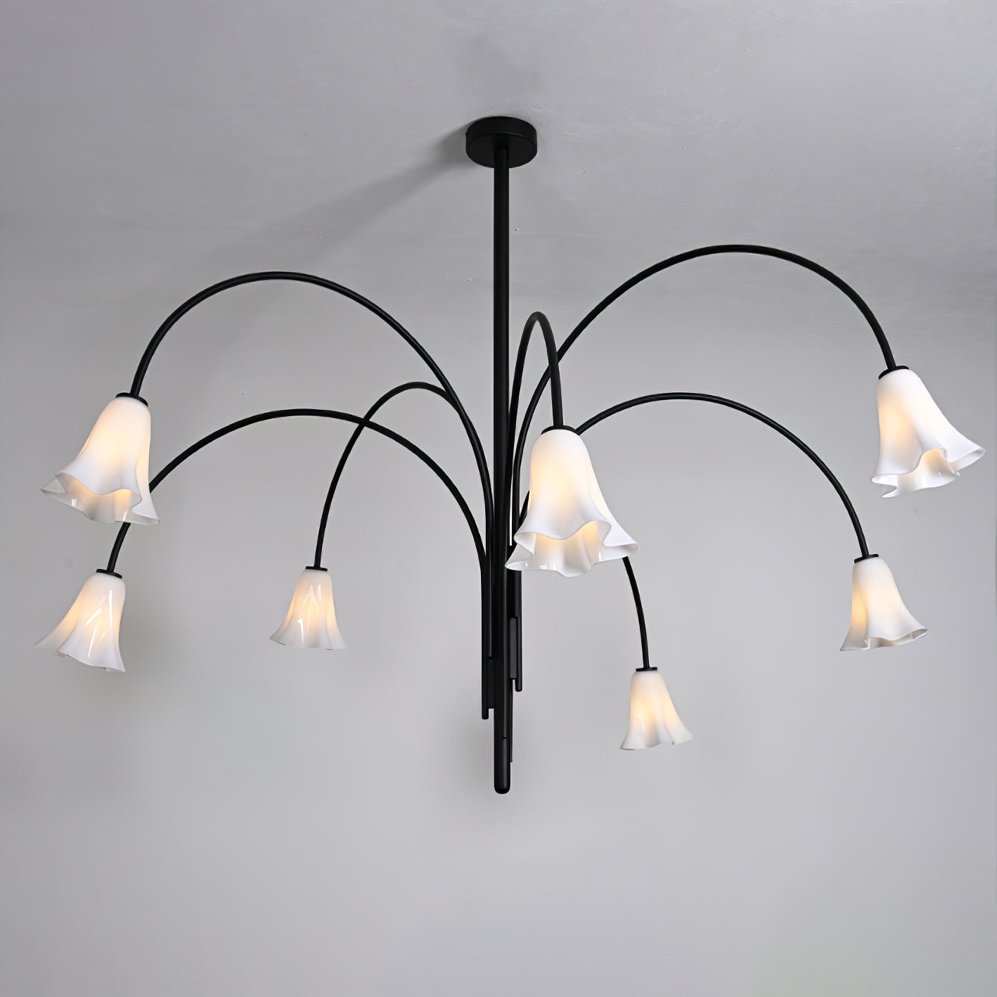 Aurora Lustre Floraison Pétale Verre Bras