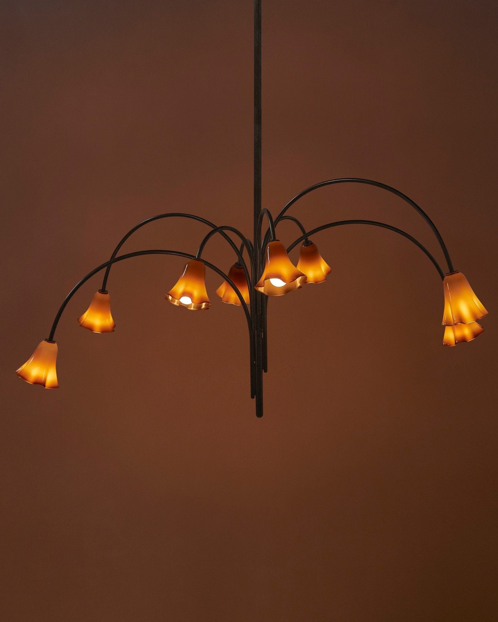 Aurora Lustre Floraison Pétale Verre Bras