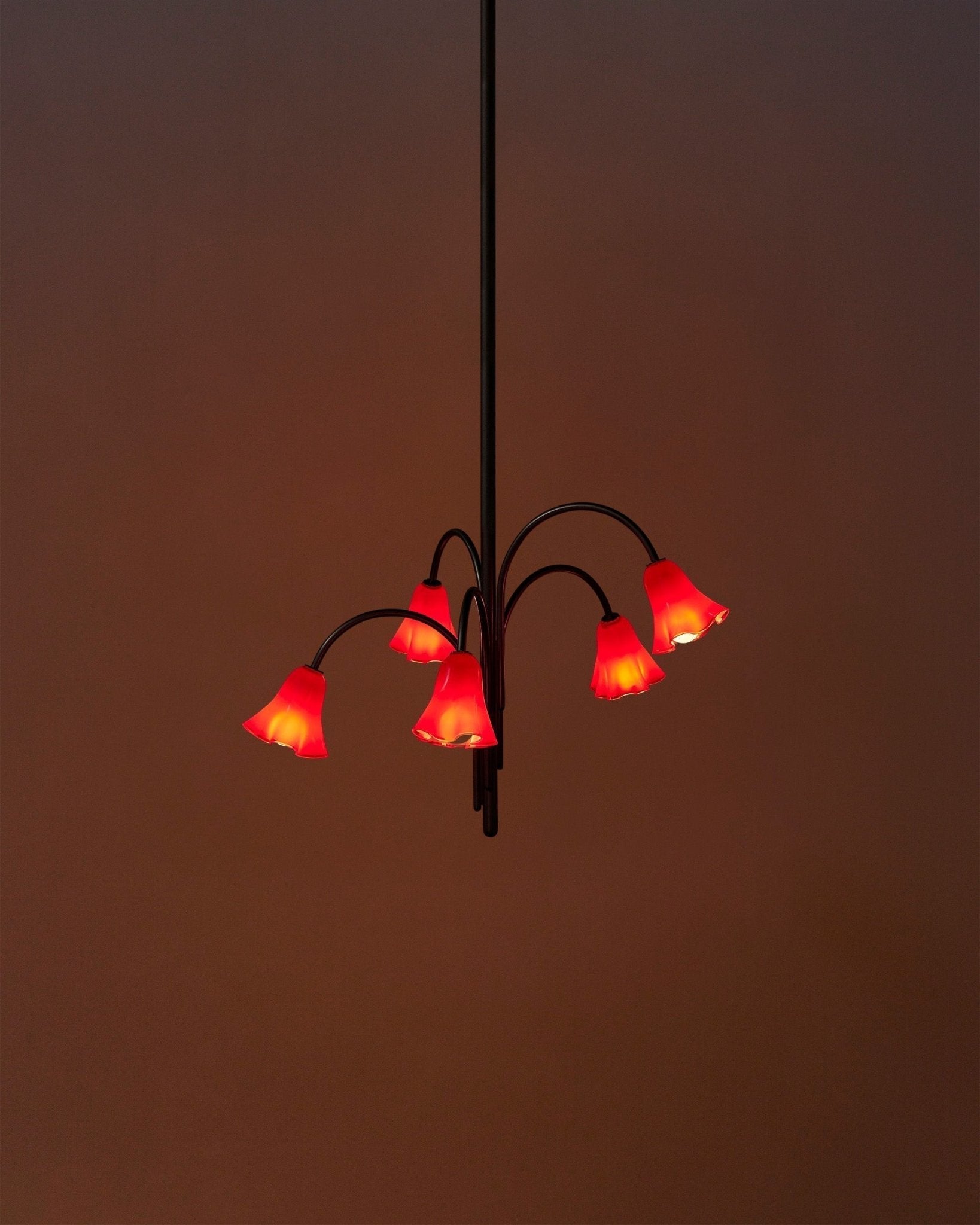 Aurora Lustre Floraison Pétale Verre Bras
