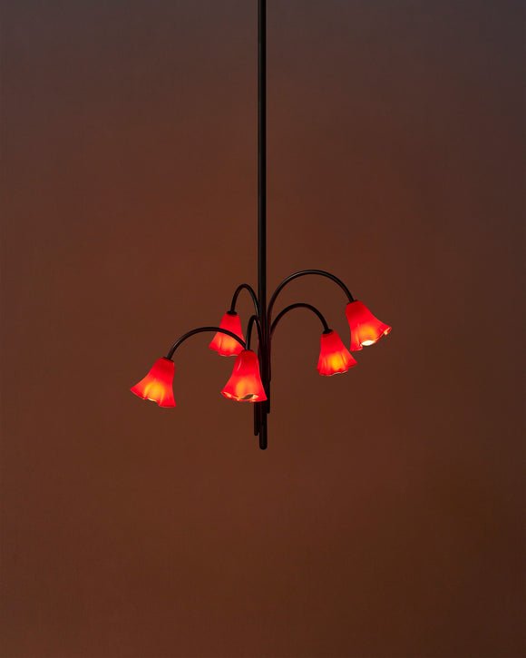 Aurora Lustre Floraison Pétale Verre Bras