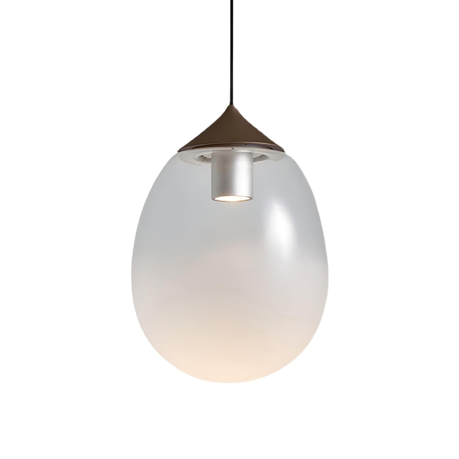 Ovoin Suspension Lampe Artistique en Verre