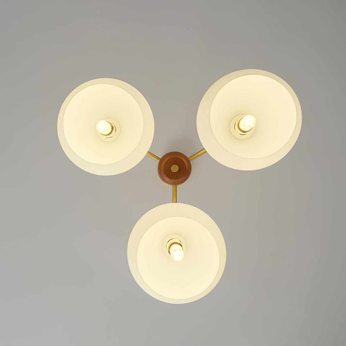 Raito Lustre Dôme en Verre Bois Laiton