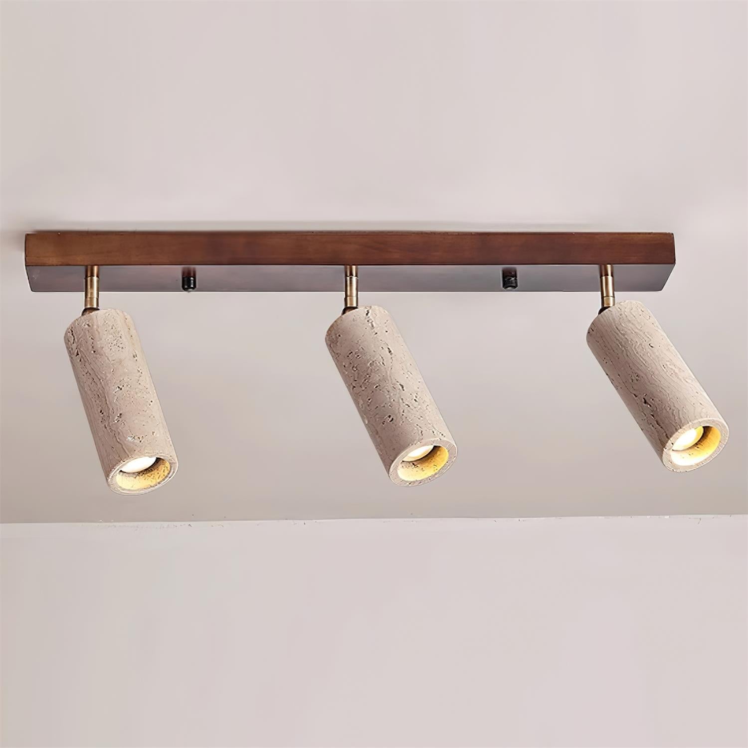 Navine Spot de plafond réglable à 3 lumières