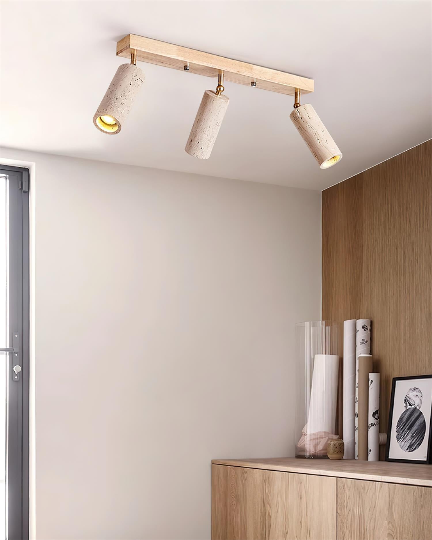 Navine Spot de plafond réglable à 3 lumières