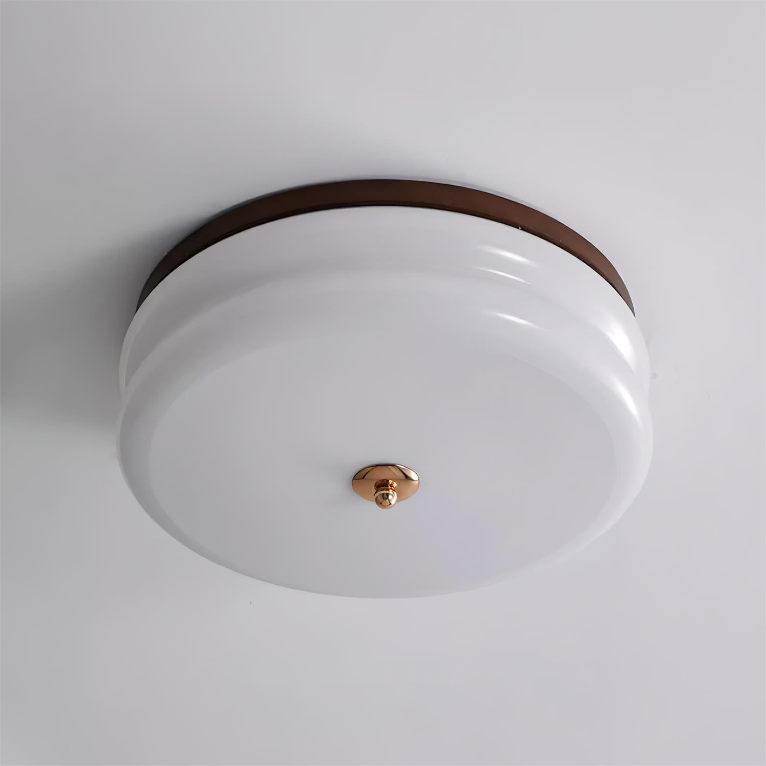 Lampe Plafond Disque en Verre Double-Couche Bois de Noyer Minimaliste