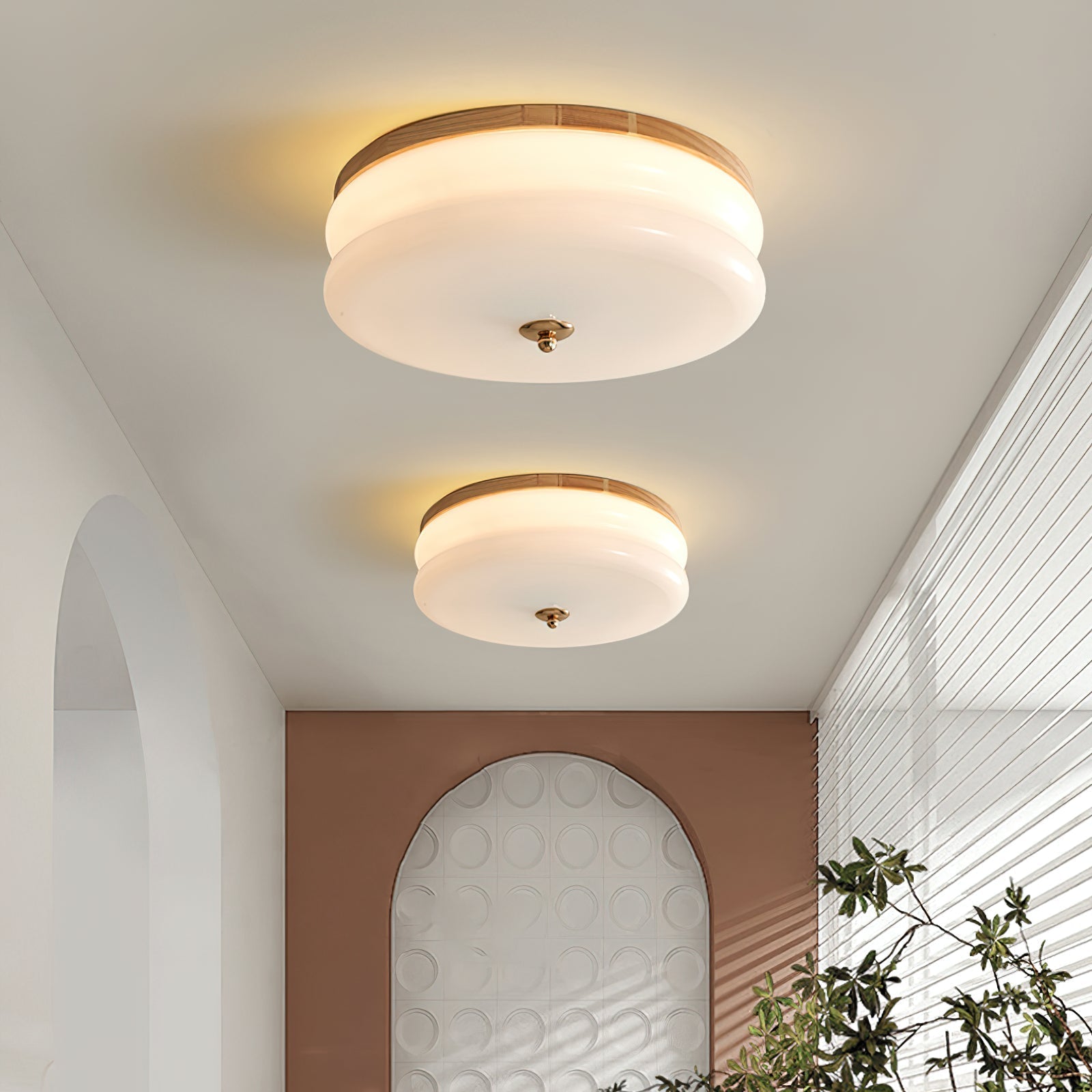Lampe Plafond Disque en Verre Double-Couche Bois de Noyer Minimaliste