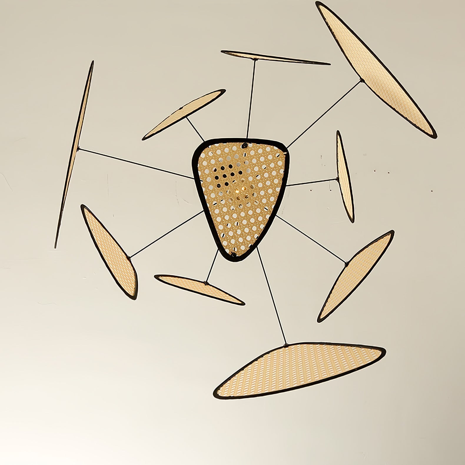 Lustra Lustre Écran Cannage Suspension Rétro