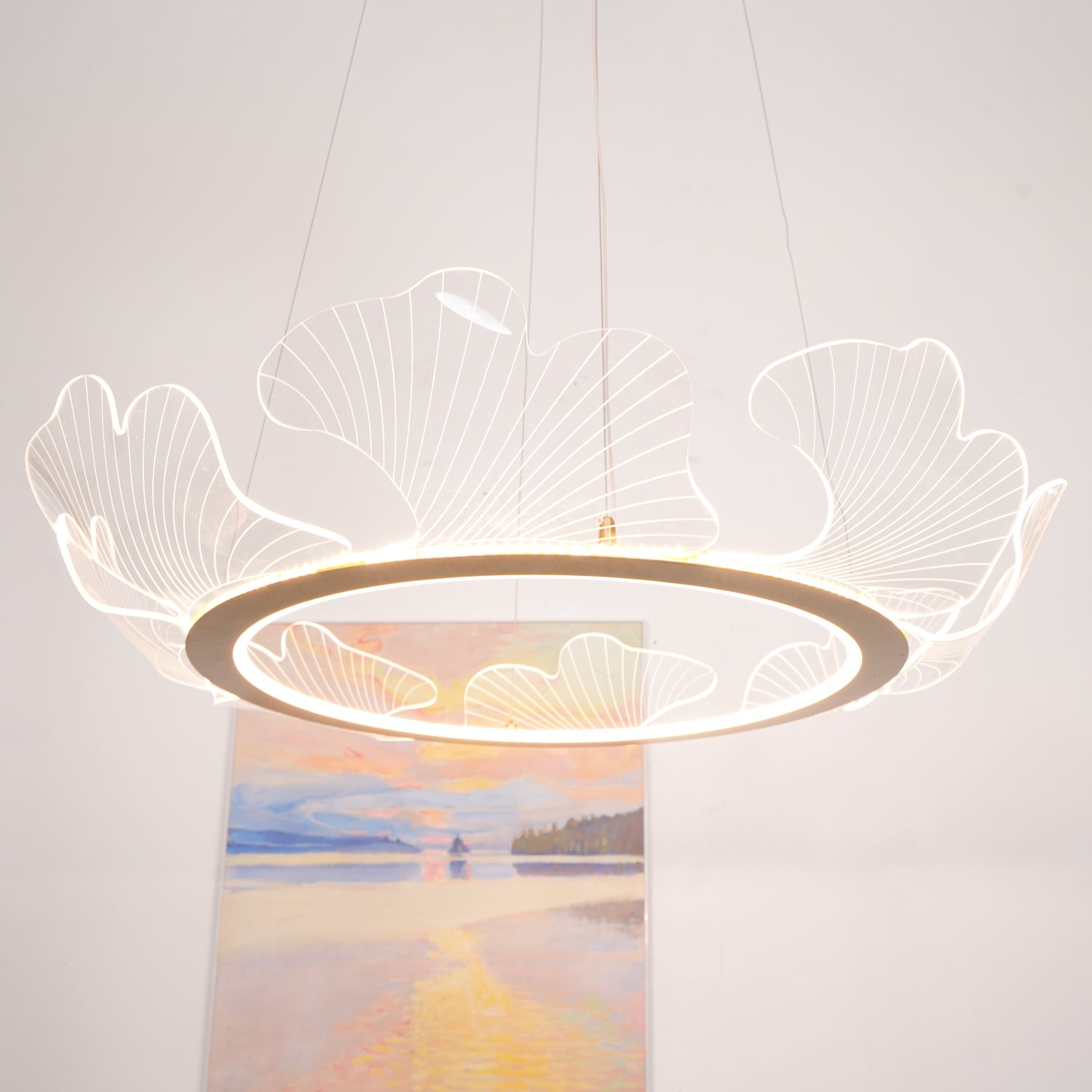 Lustra Suspension en Acrylique Givré Anneau Floral