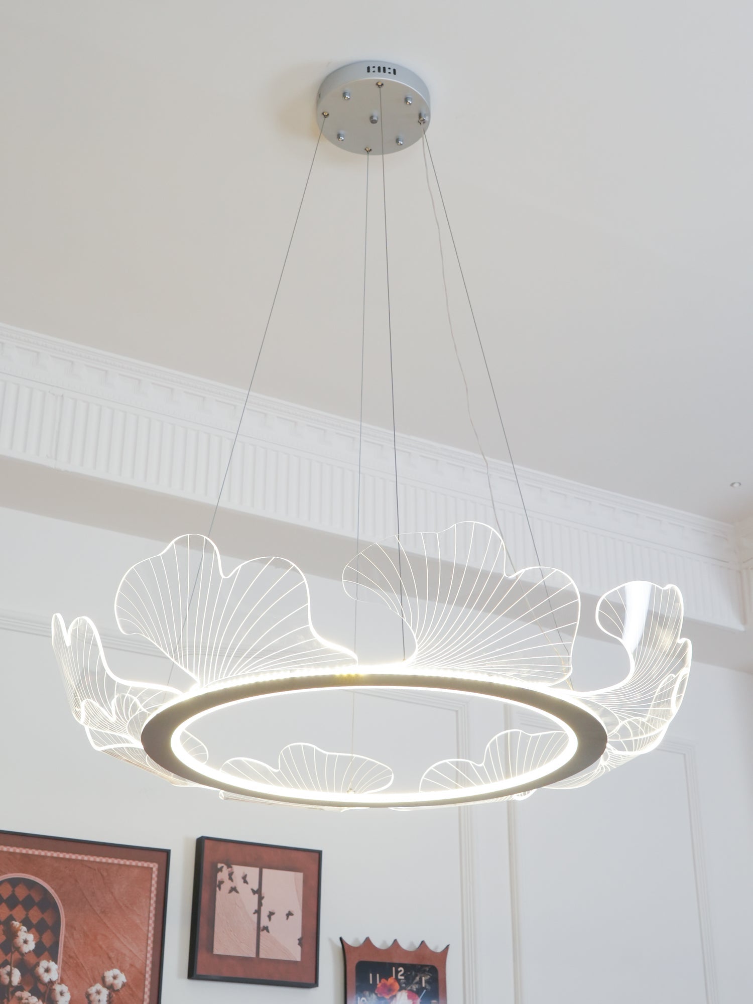 Lustra Suspension en Acrylique Givré Anneau Floral