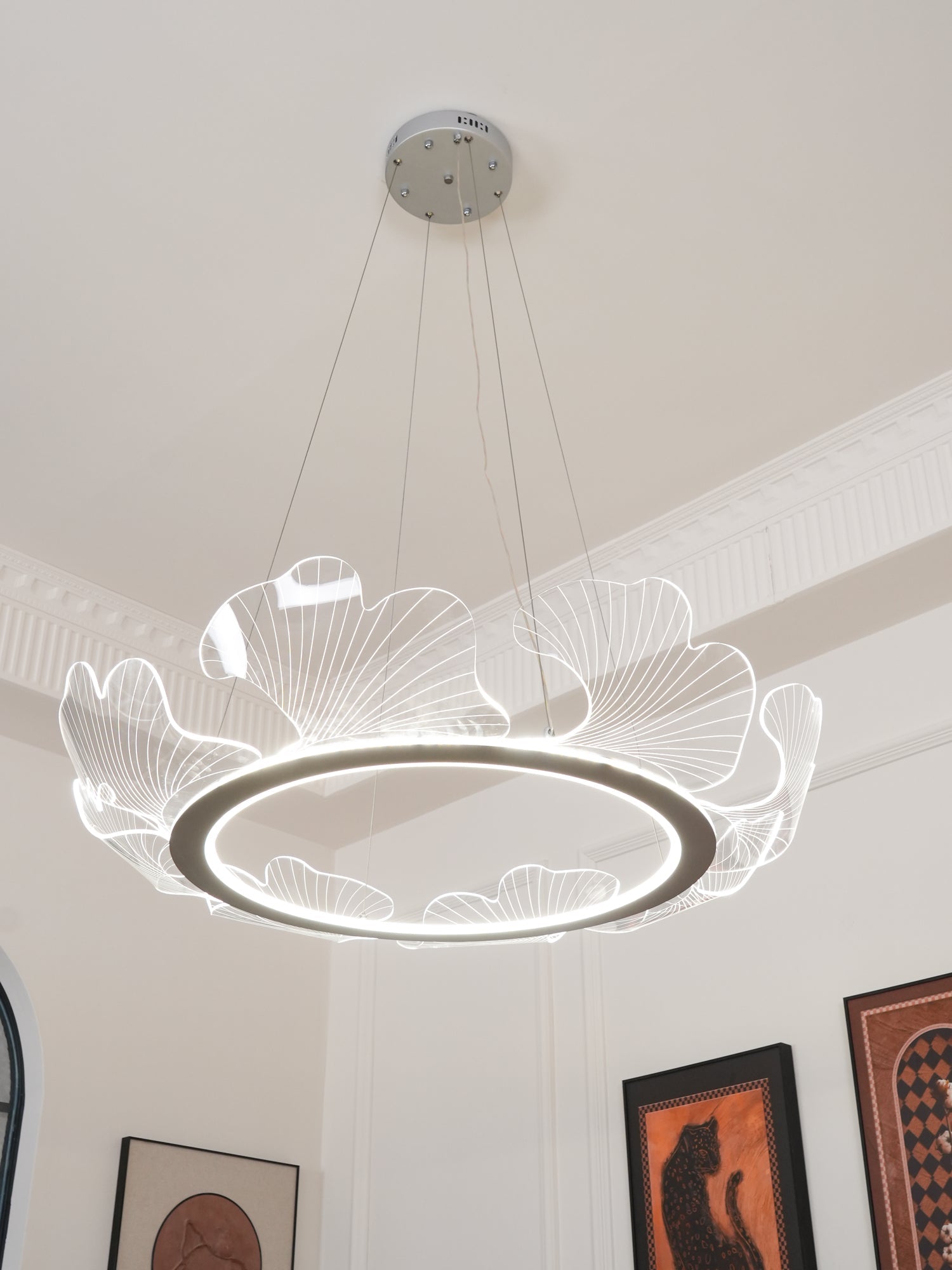 Lustra Suspension en Acrylique Givré Anneau Floral