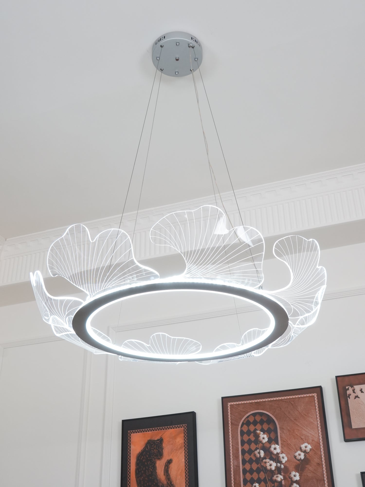 Lustra Suspension en Acrylique Givré Anneau Floral