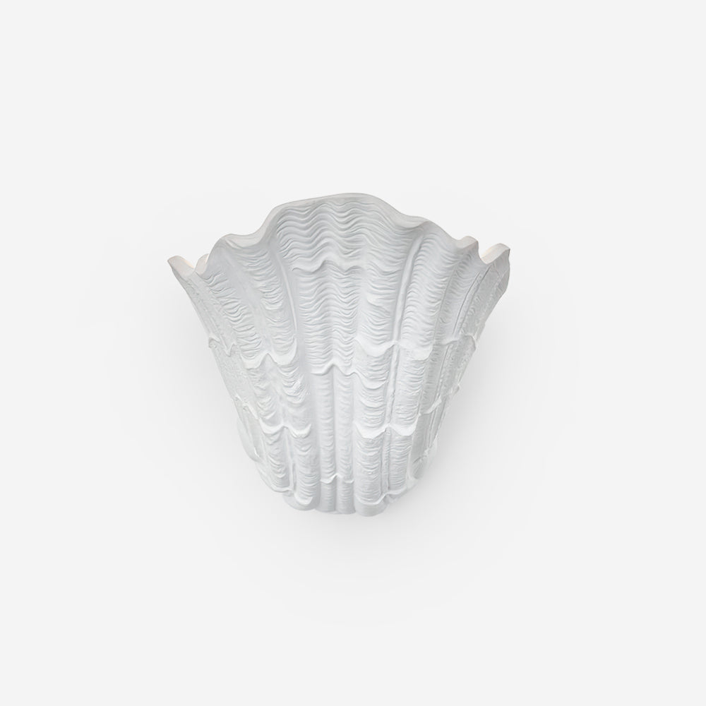 Applique Murale Coquille Plâtre Coquillage Forme Artistique
