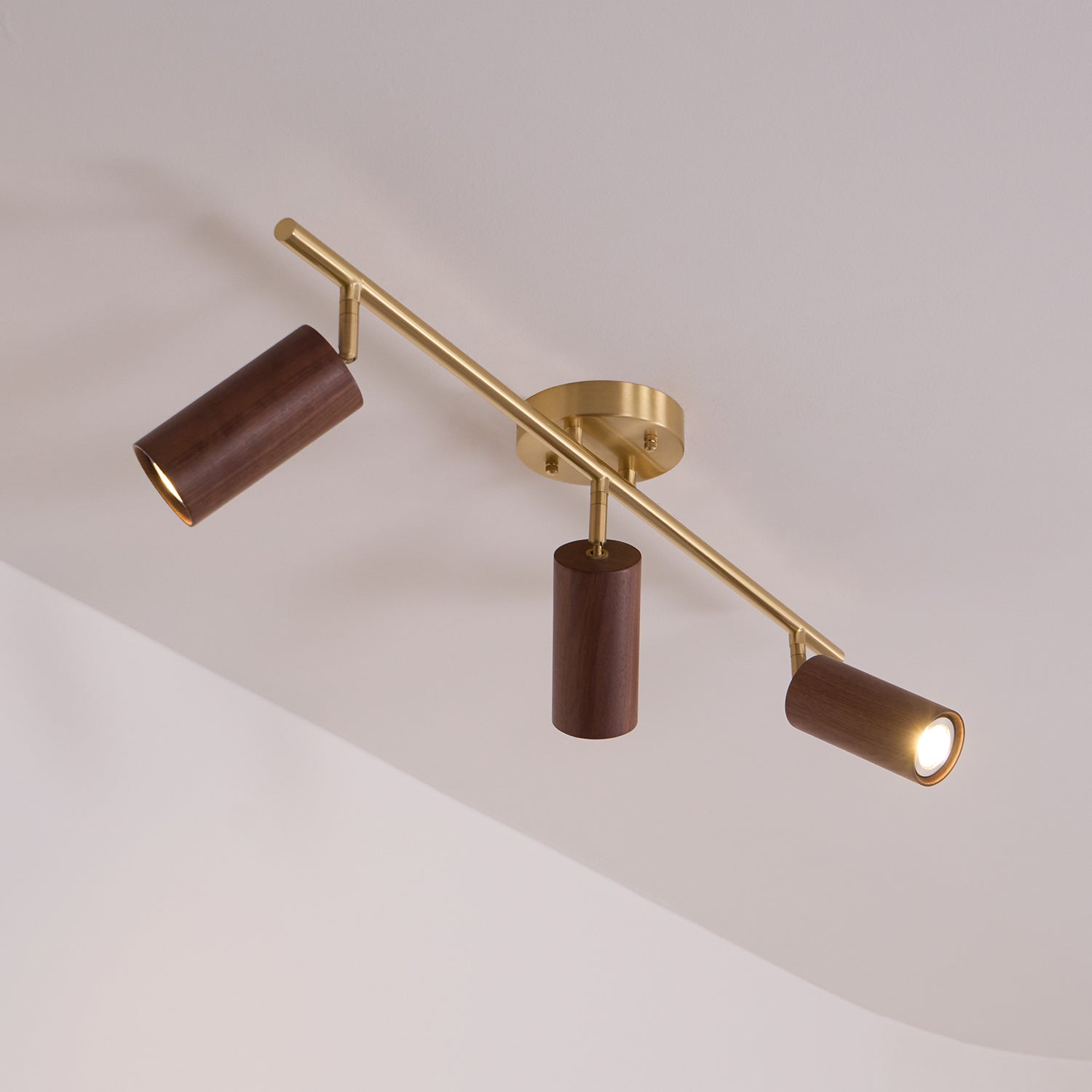 Liora Plafonnier sur Rail en Bois