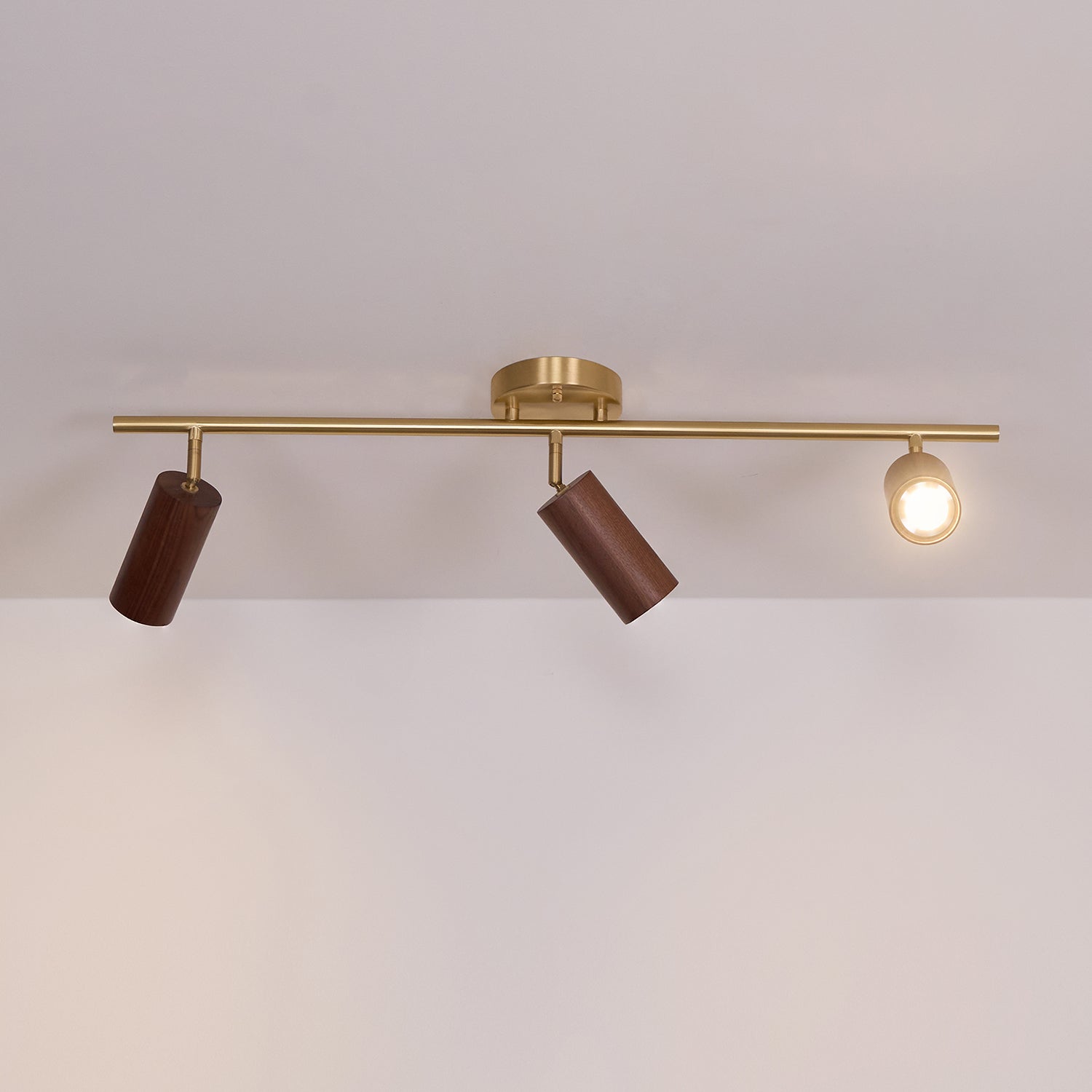 Liora Plafonnier sur Rail en Bois