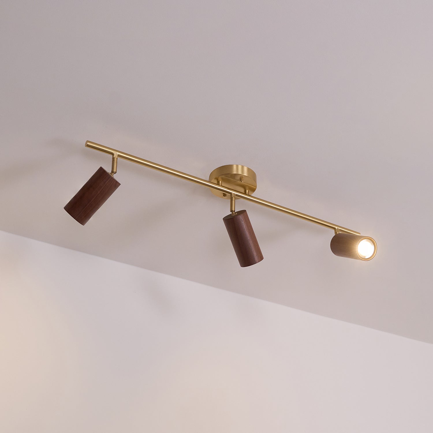 Liora Plafonnier sur Rail en Bois