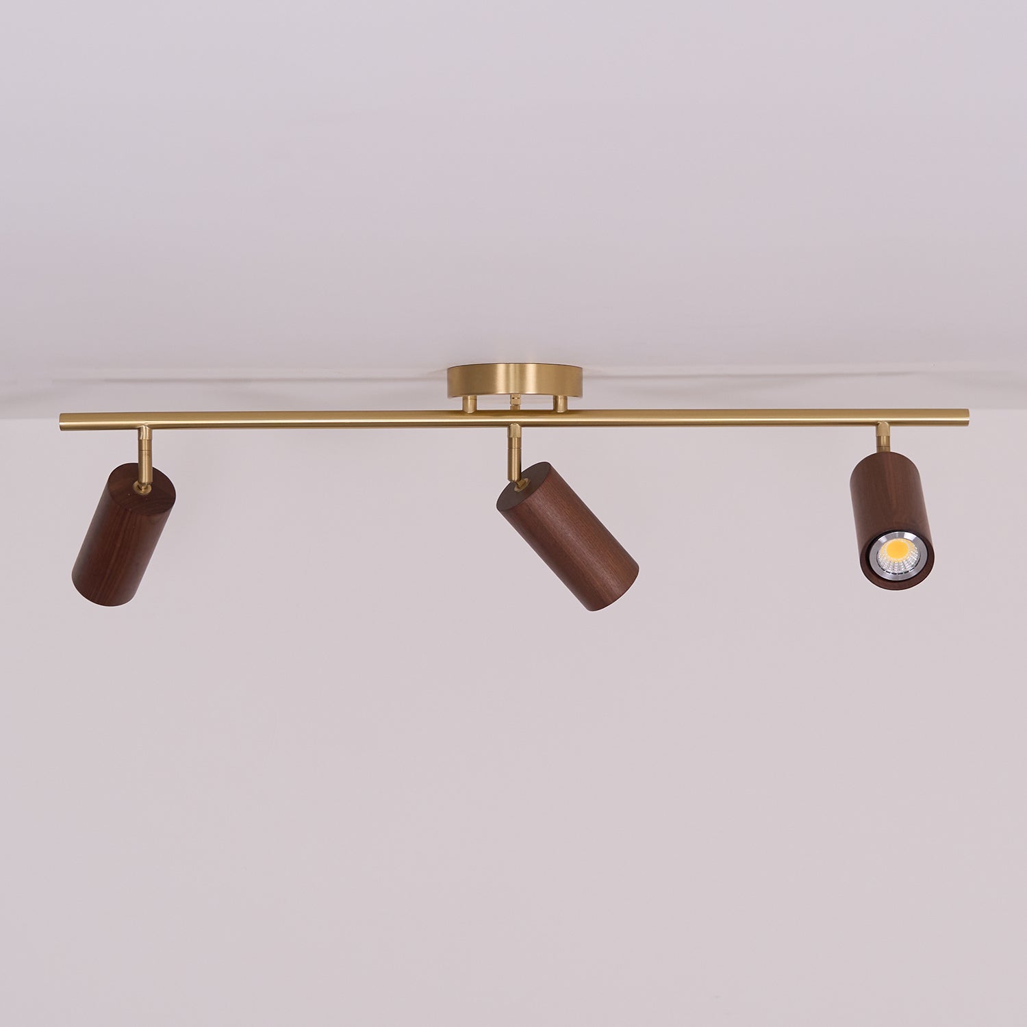 Liora Plafonnier sur Rail en Bois