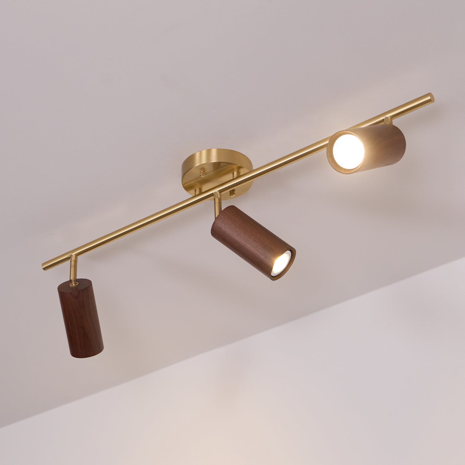 Liora Plafonnier sur Rail en Bois