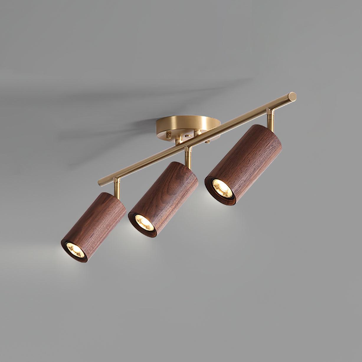Liora Plafonnier sur Rail en Bois